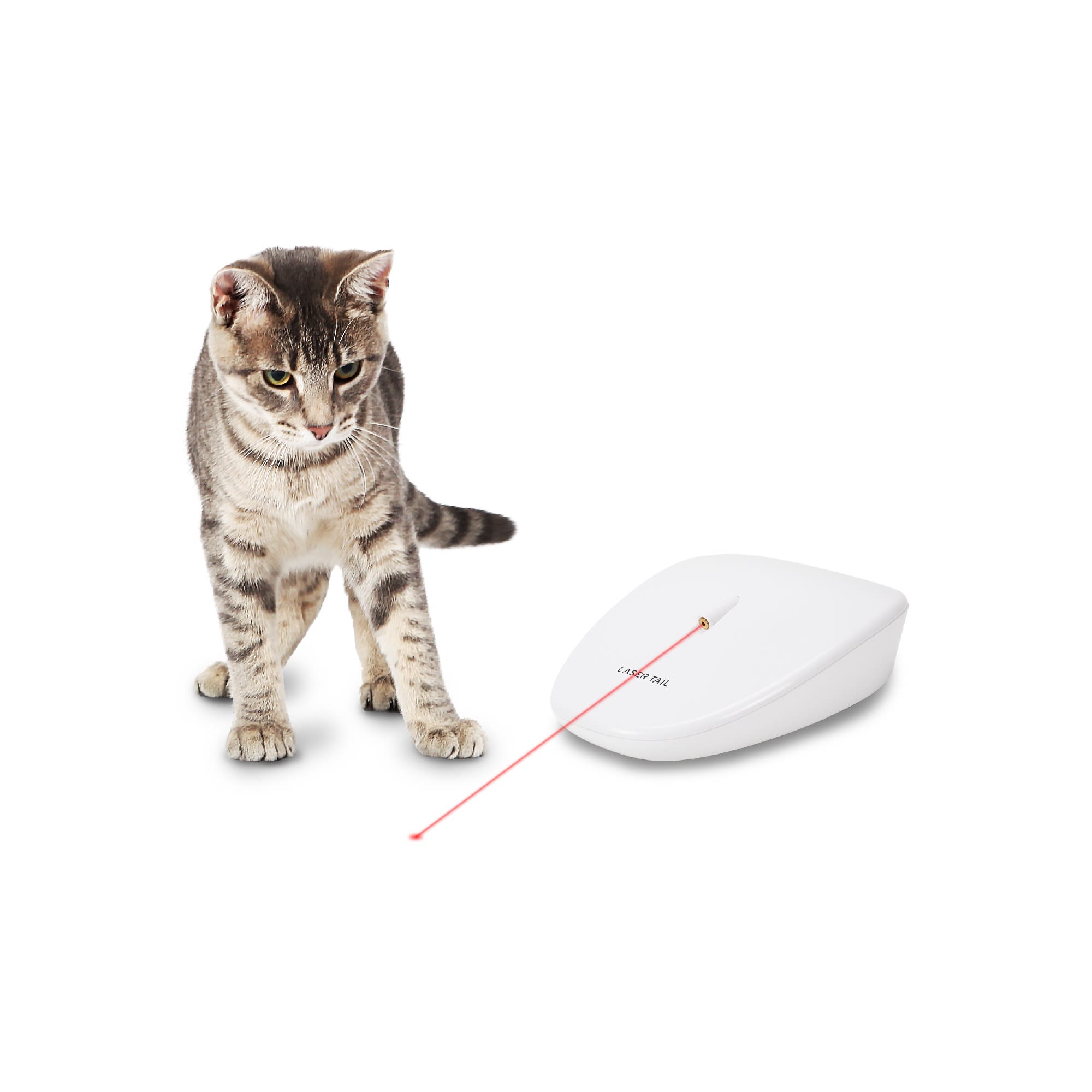 automatic laser cat toy with timer