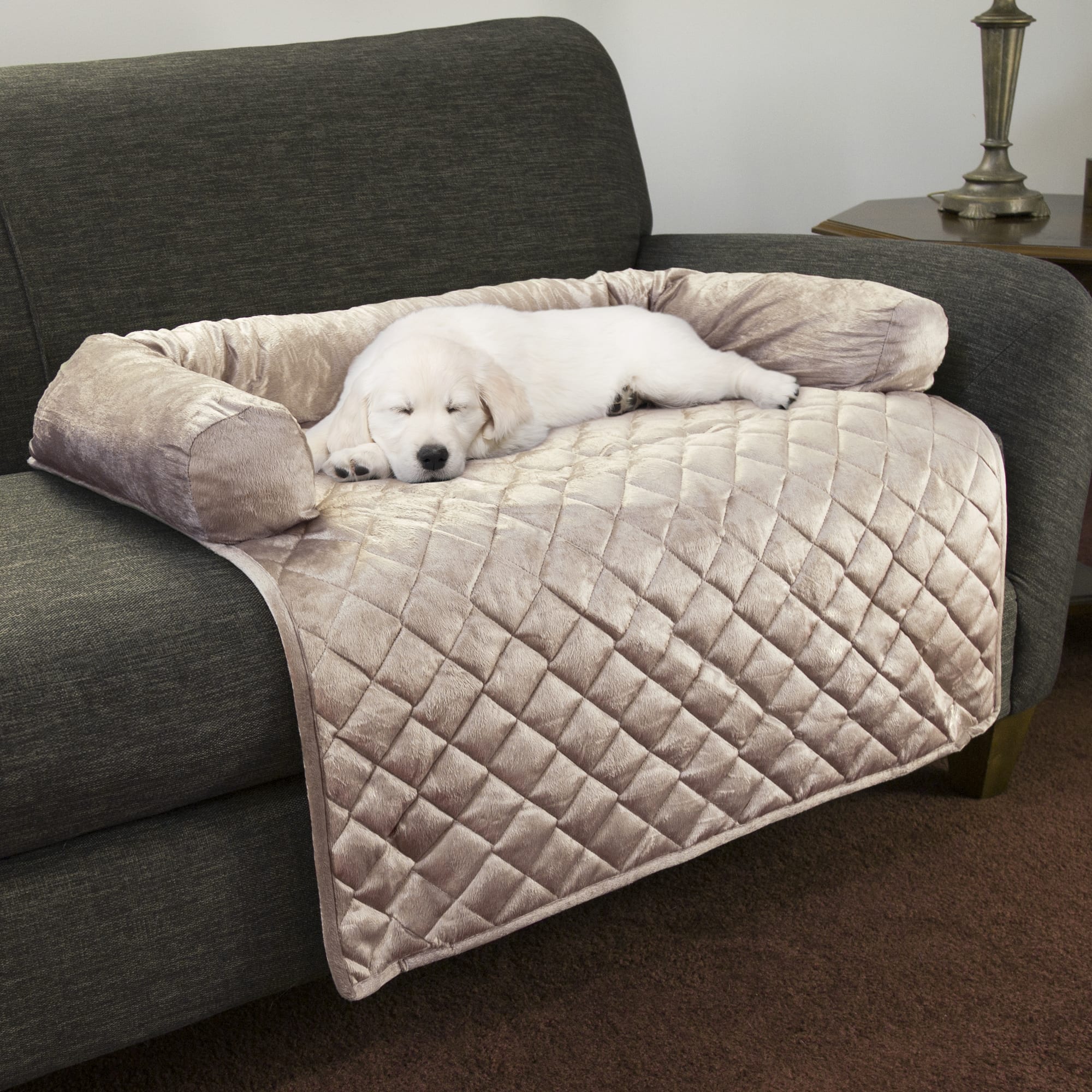 couch covers to protect from dogs