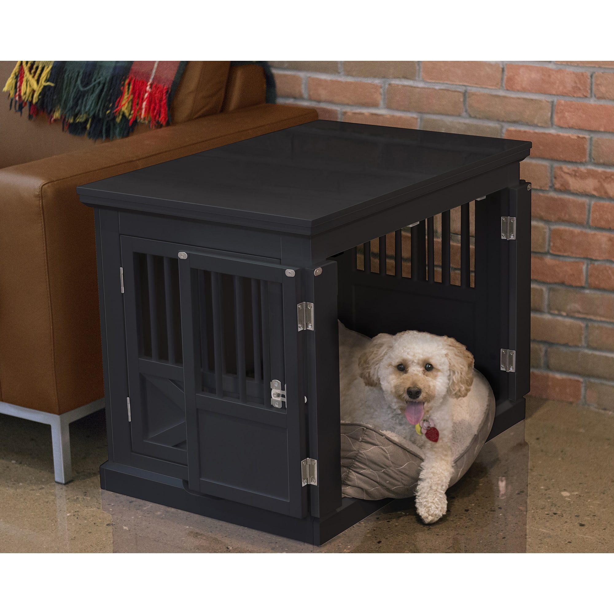 EveryYay Going Places 1-Door Folding Dog Crate, 36 L X 22.5 W X 24.9 H