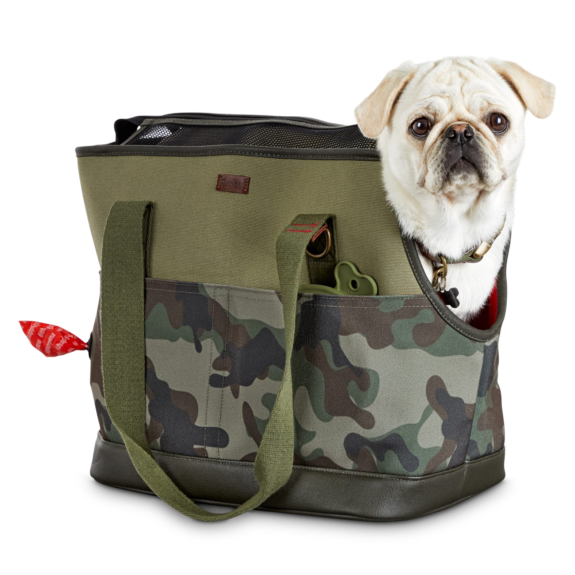 dog in carrier