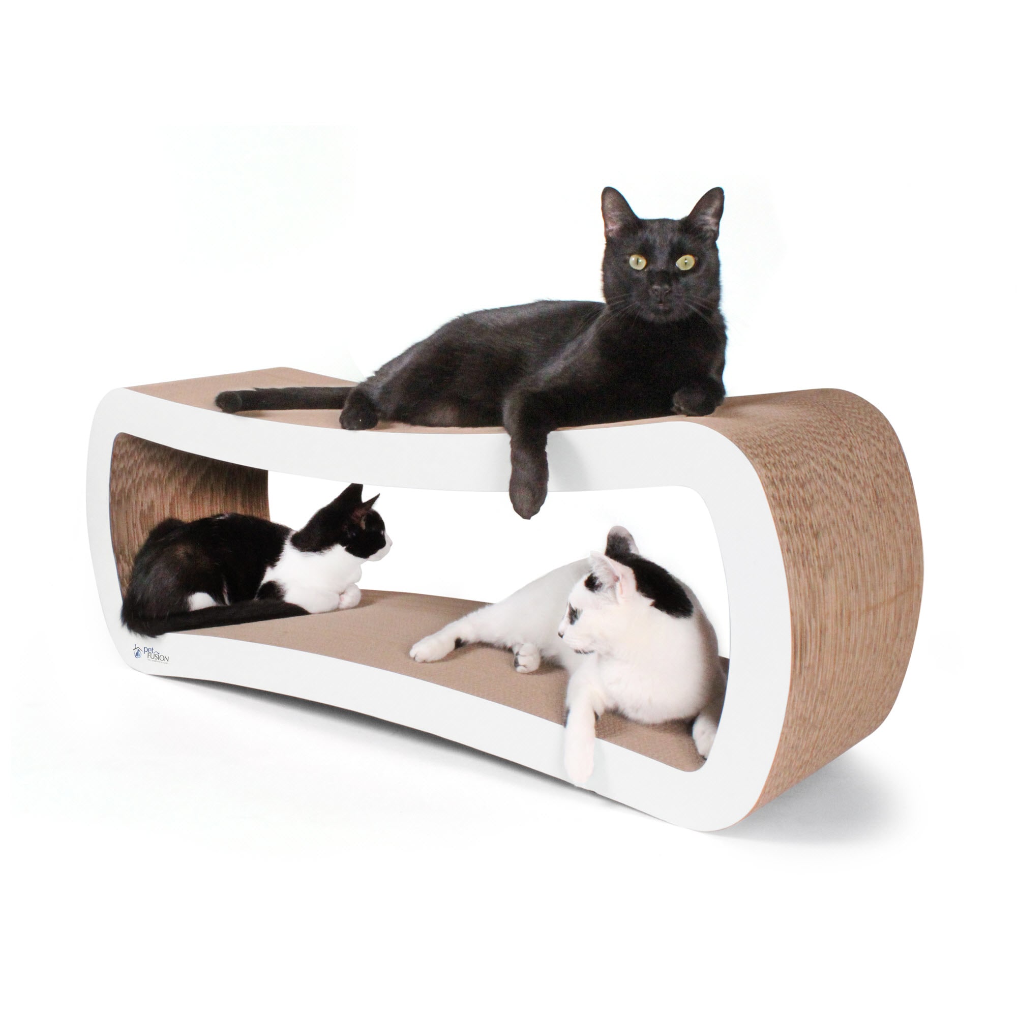 Jumbo cat outlet scratcher lounge