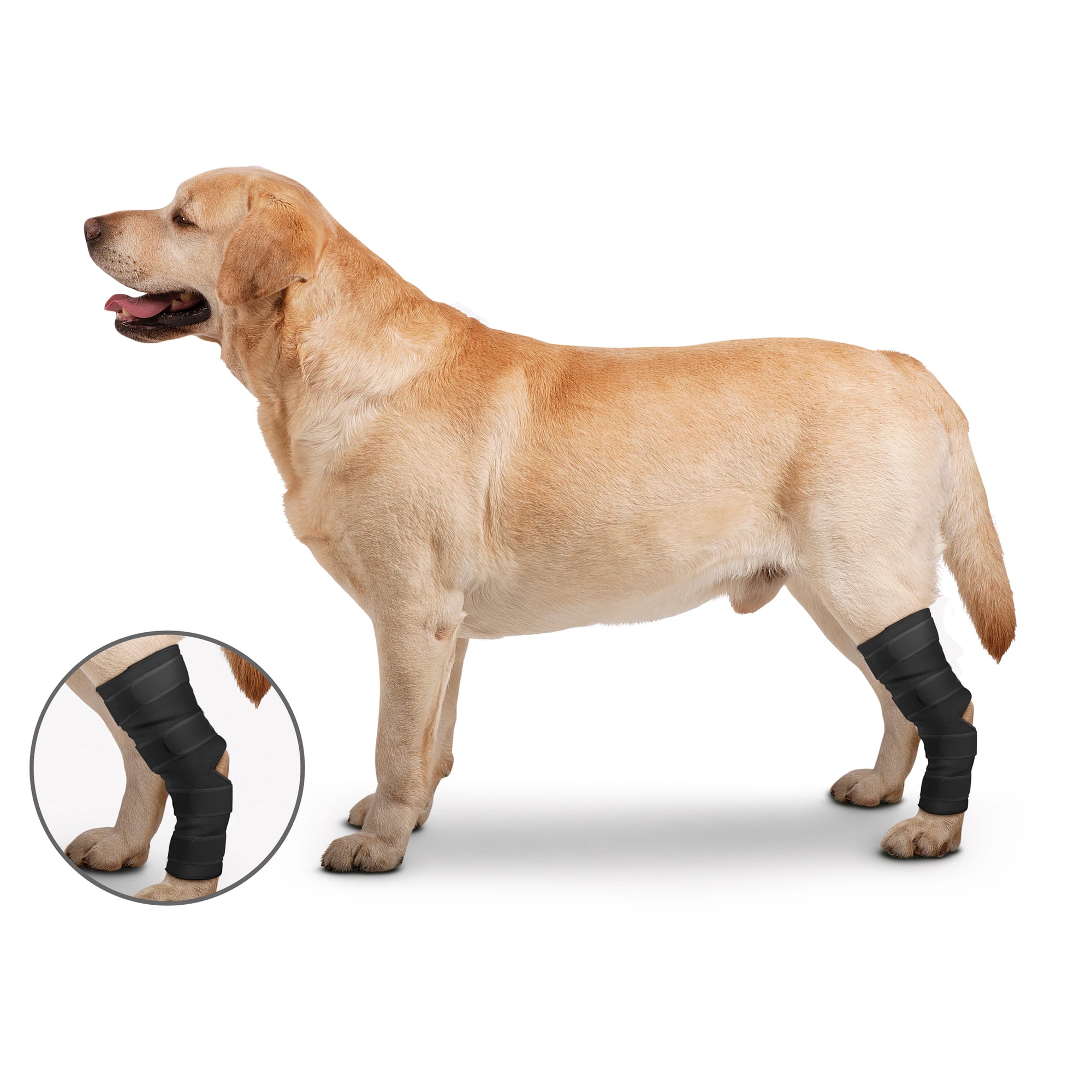 Dog Leg Brace Petsmart