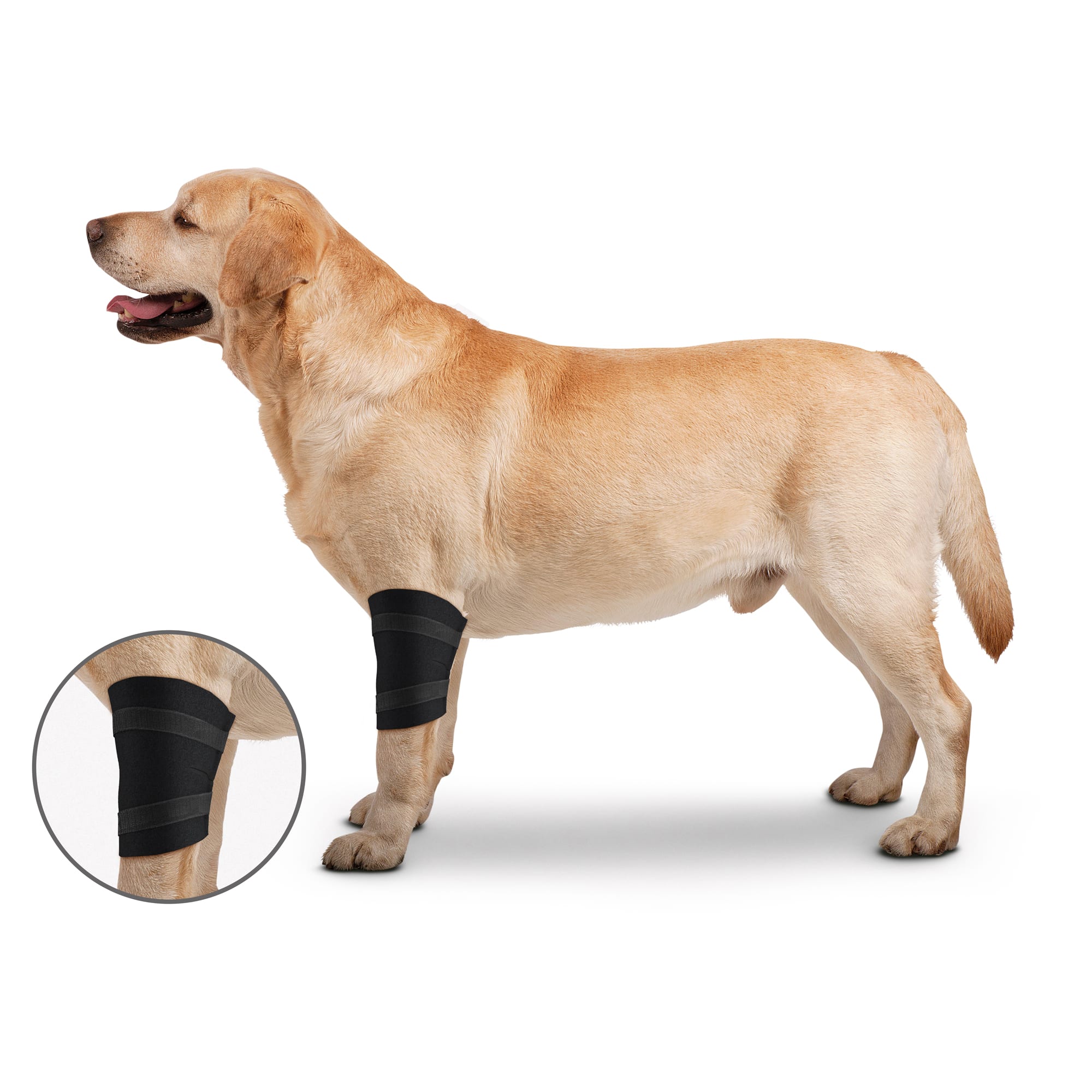 Elbow guards for outlet dogs