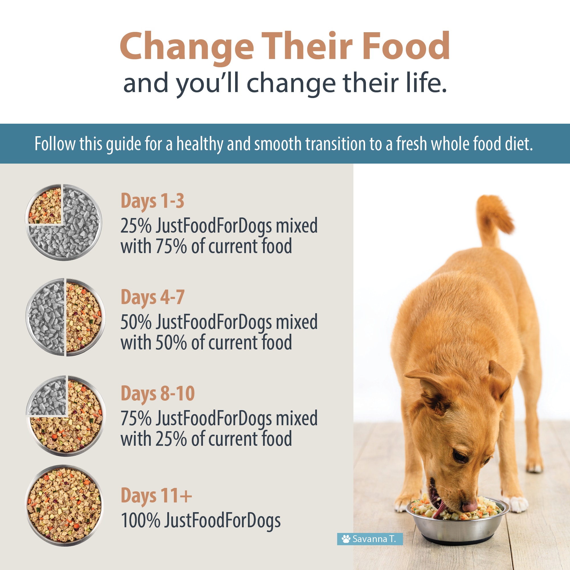 JustFoodForDogs Daily Diets Turkey & Whole Wheat Macaroni Frozen Dog