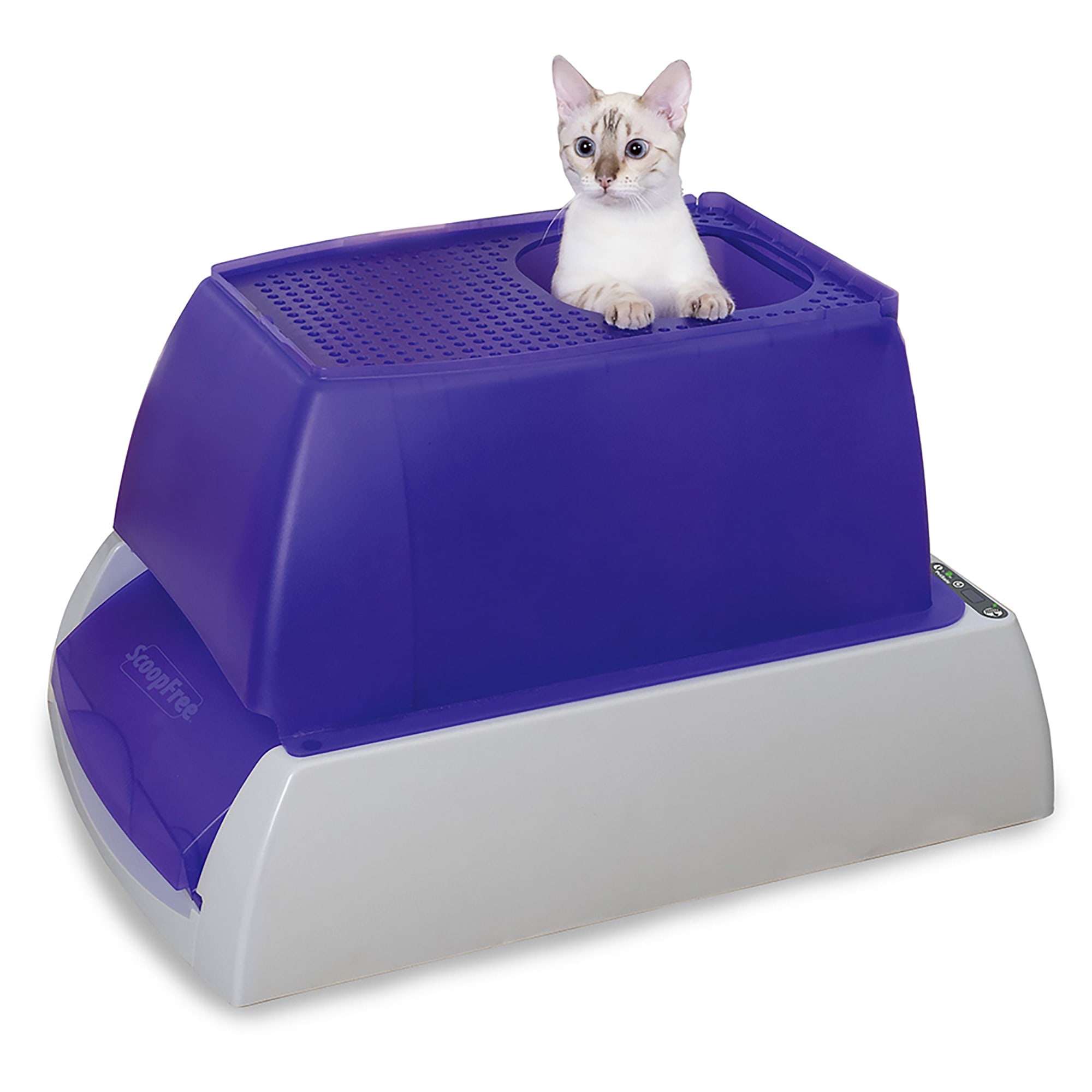 throw away cat litter box