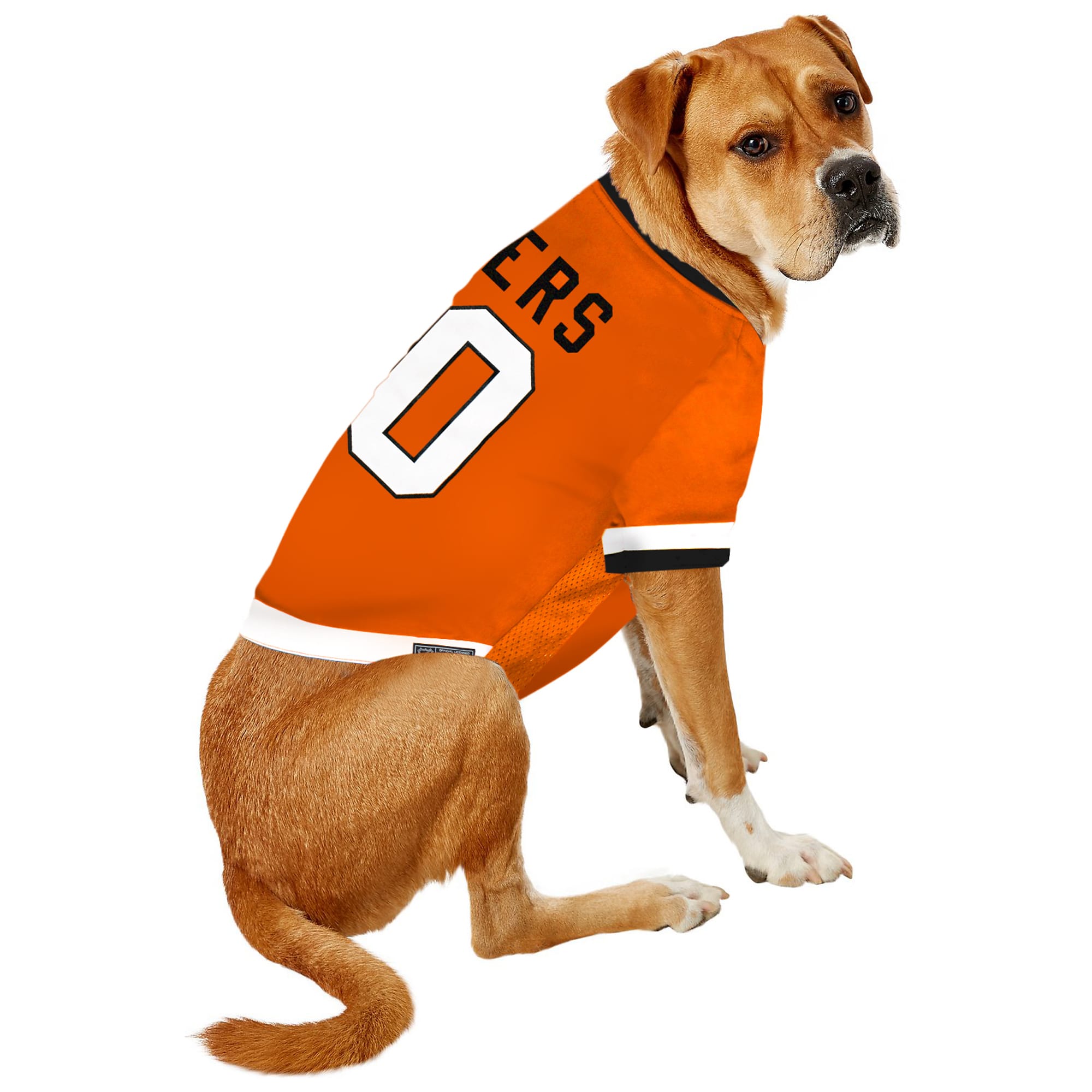 cleveland browns dog sweater