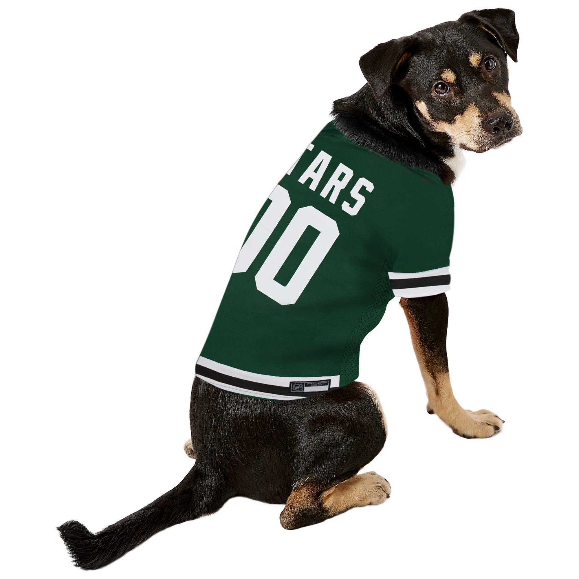 dallas stars dog jersey