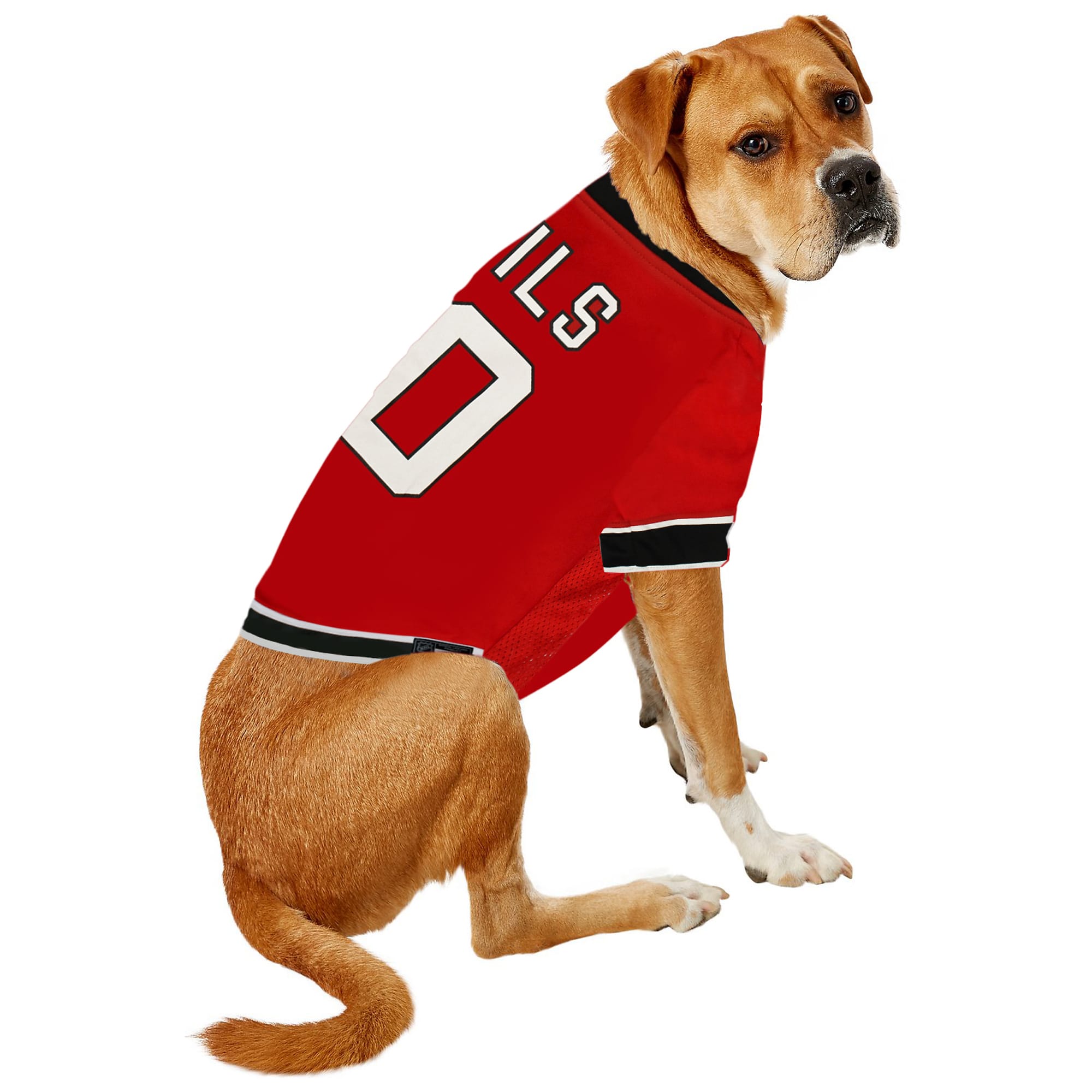 49ers dog jersey