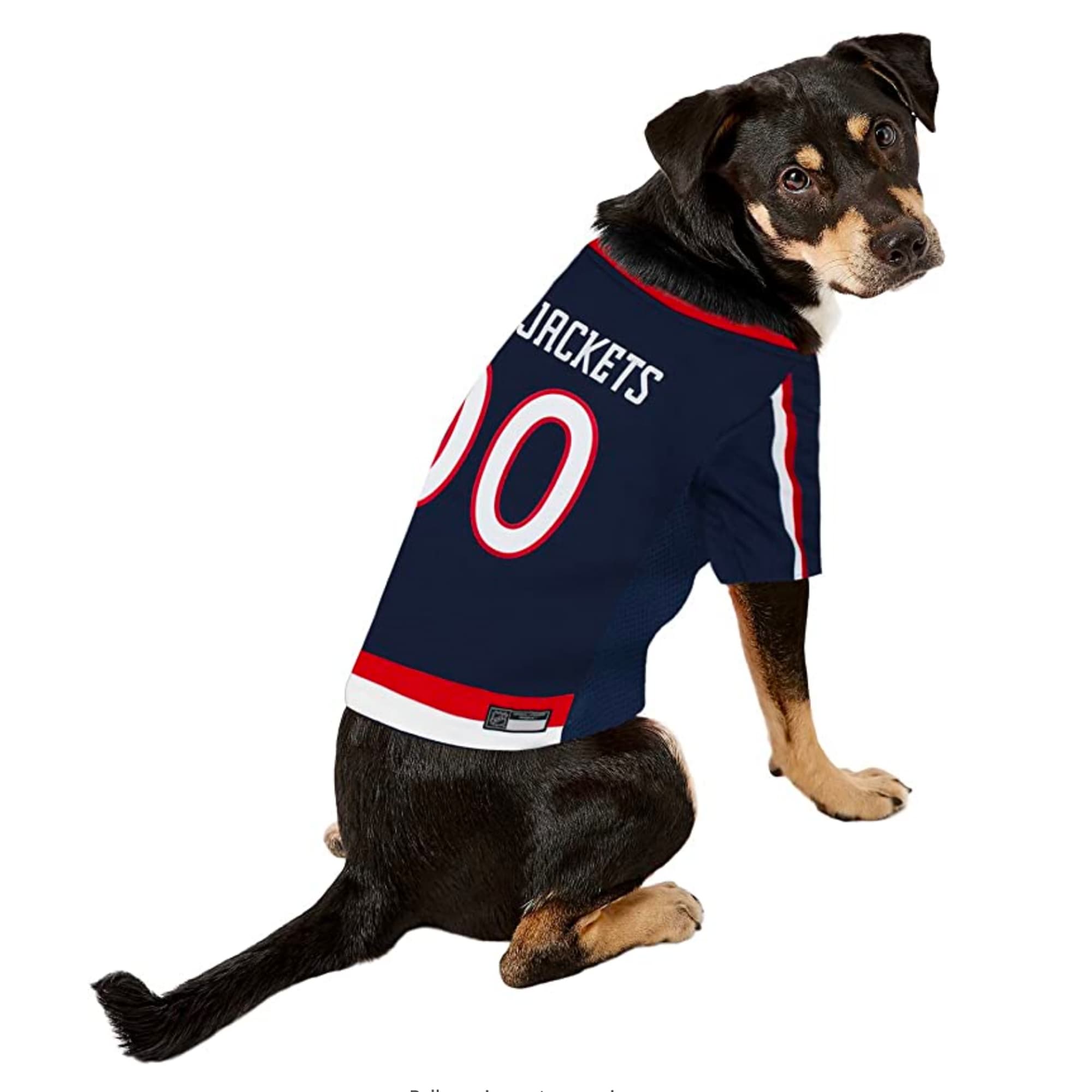 Columbus blue jackets dog on sale jersey