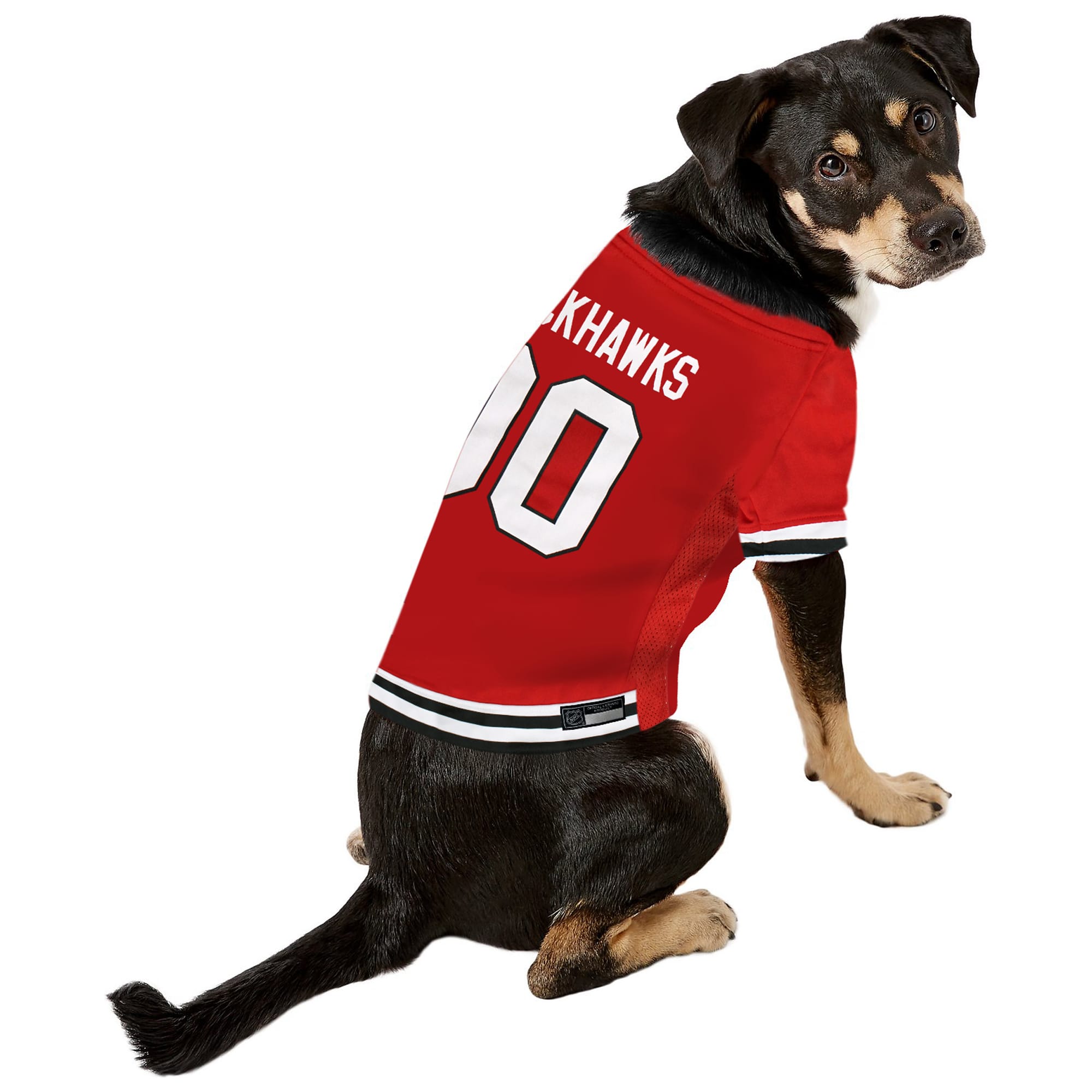 dog blackhawks jersey