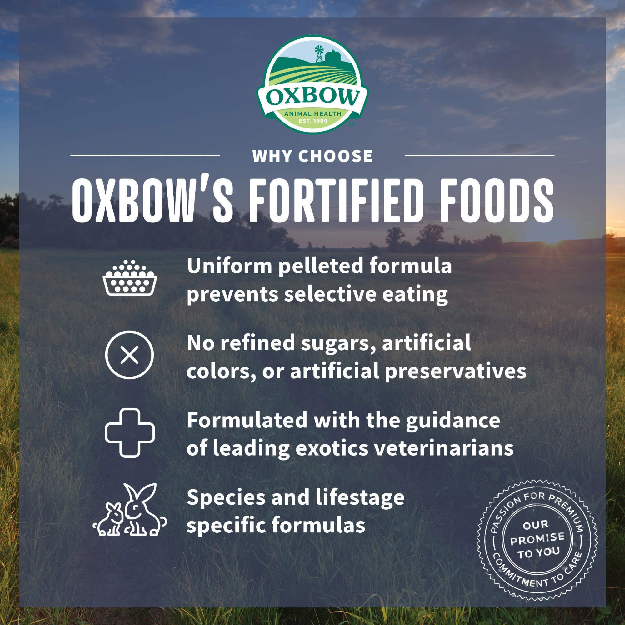 Oxbow guinea pig food 25 lb sales