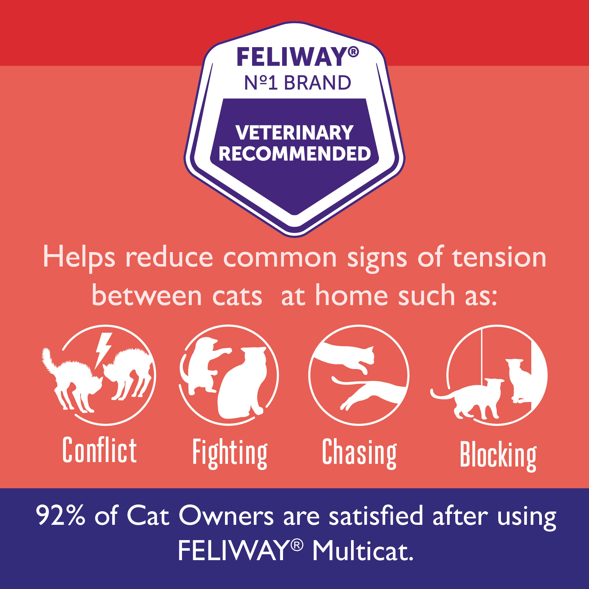 CEVA Feliway Friends Pheromone Diffuser for Cats Refill Vial (48mL) — My  Animal Dispensary