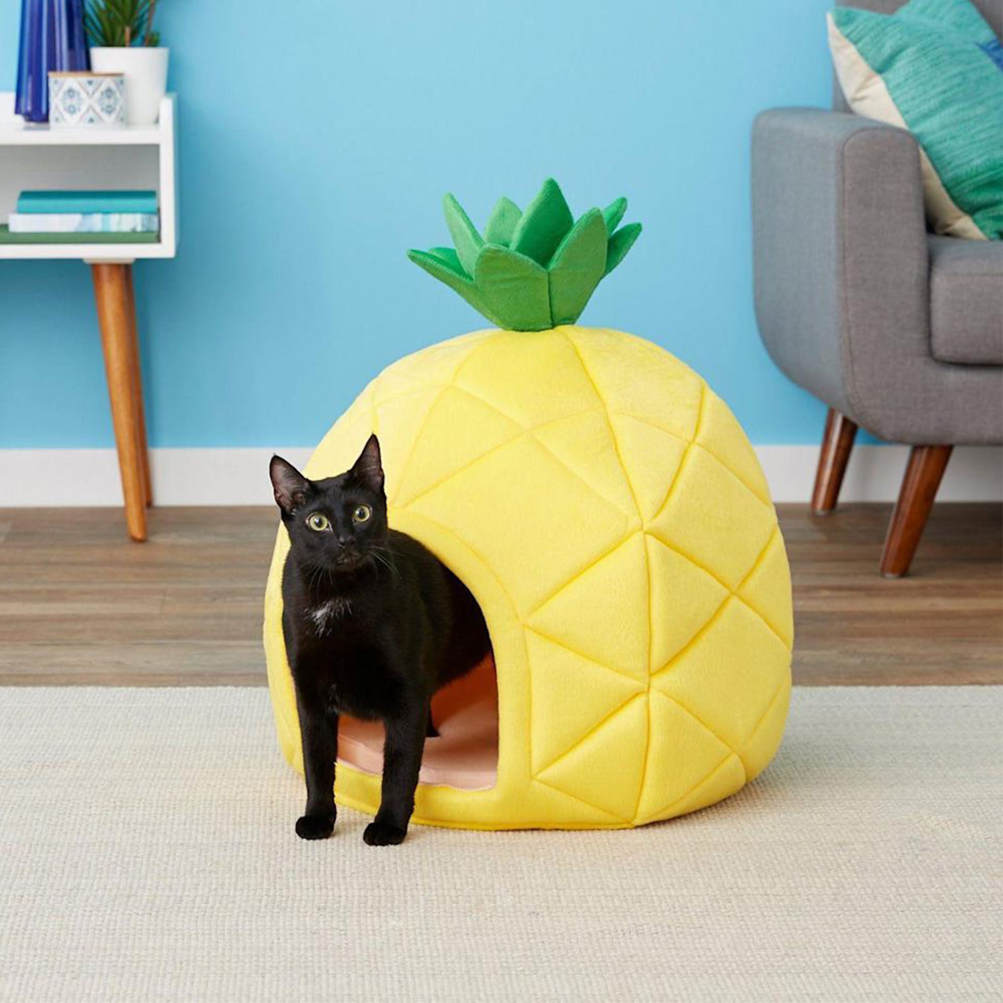 Pineapple pet clearance bed