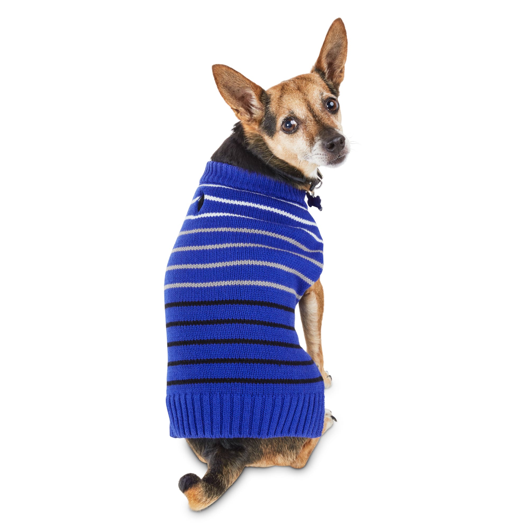blue dog sweater