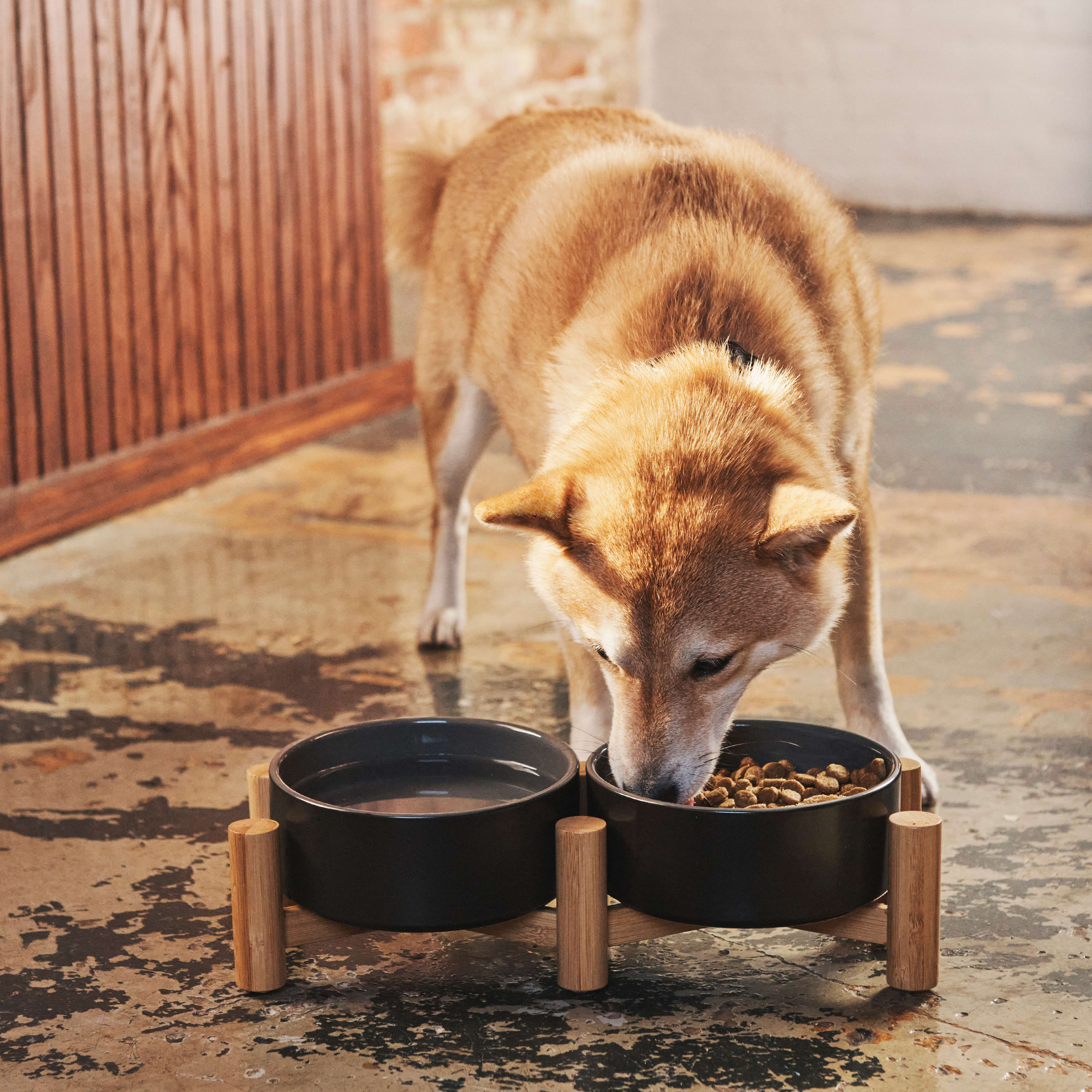 Pet Adobe Pet Adobe Modern Double Elevated Dog Bowls, Black 177748ZMA