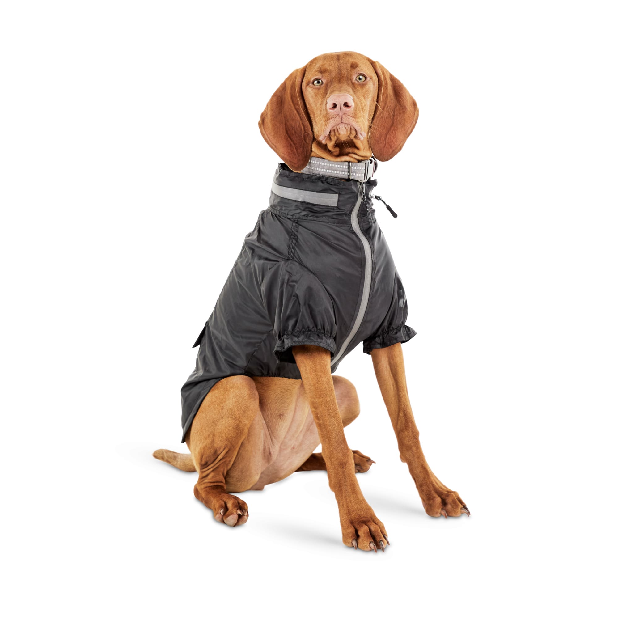 Reddy Black Dog Windbreaker, X-Small 