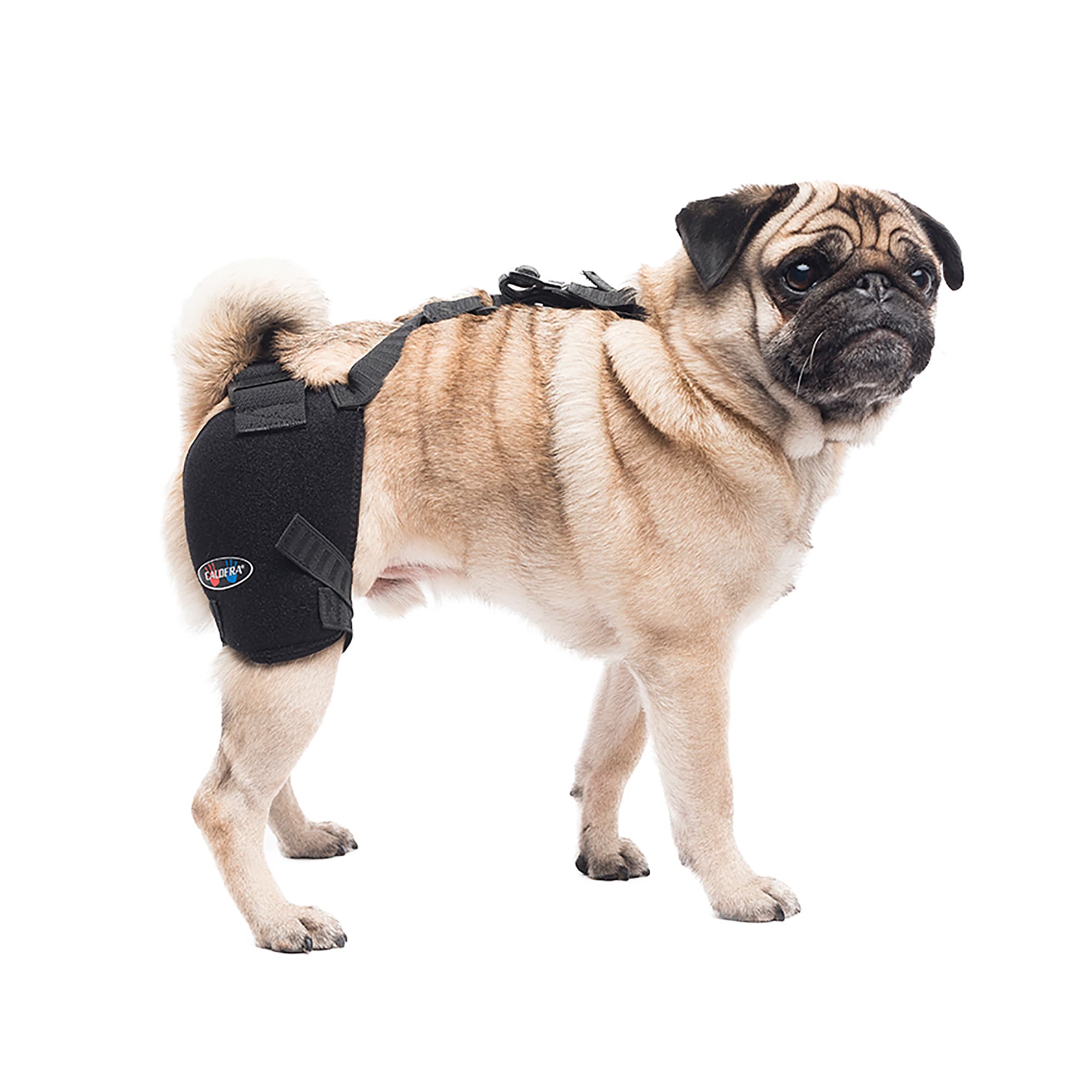 Caldera Dog Hip Therapy Wrap with Gel, Small