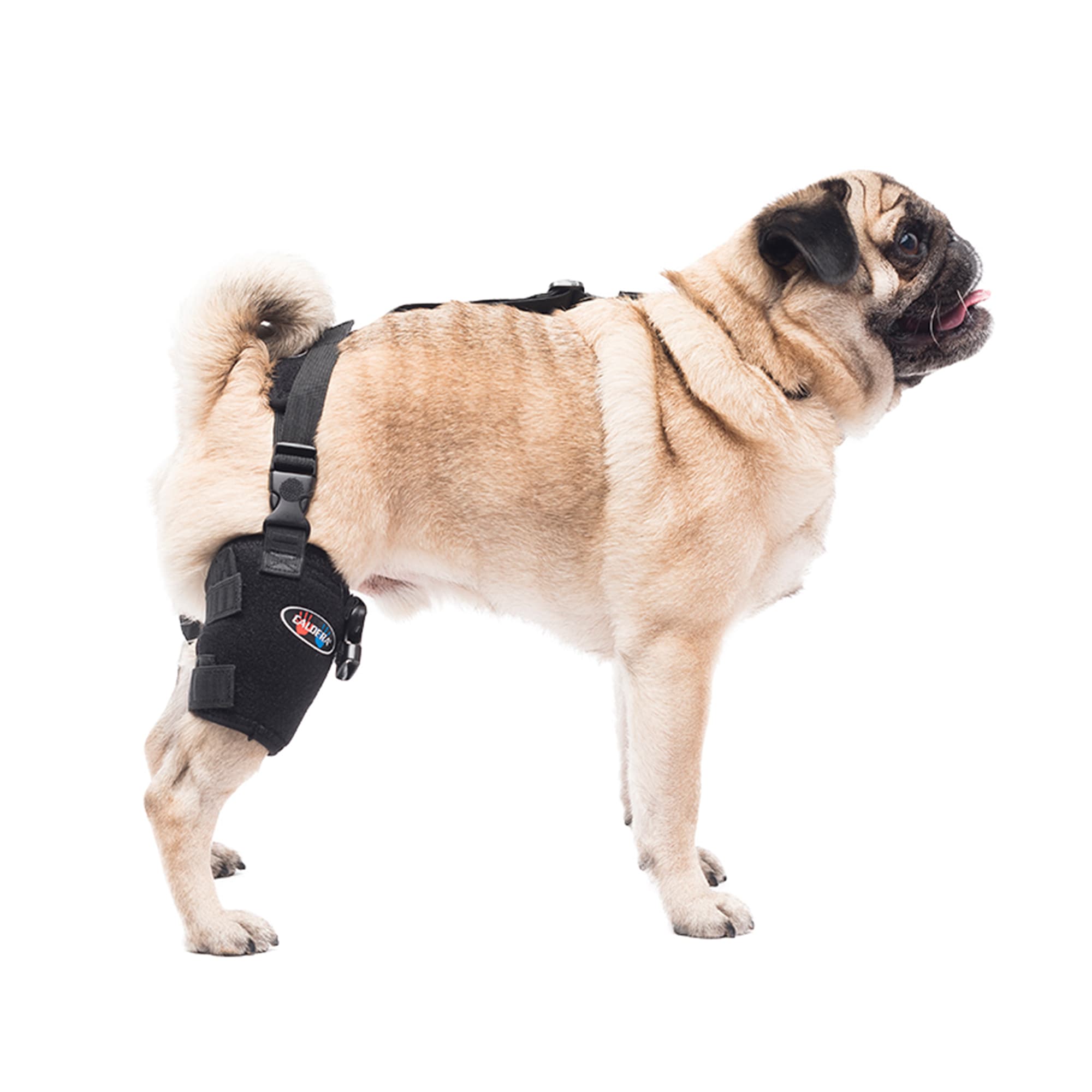 Caldera Dog Tarsal/Stifle Hot & Cold Therapy Wrap Small