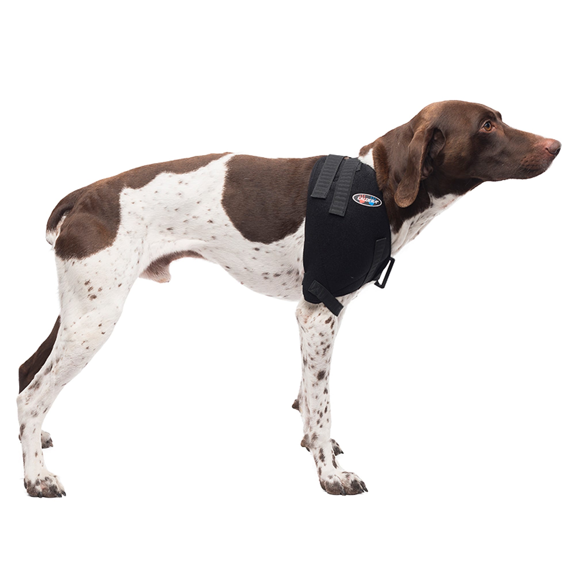 Caldera Hot & Cold Therapy Wrap with Gel for Dog Shoulders, Medium, Black