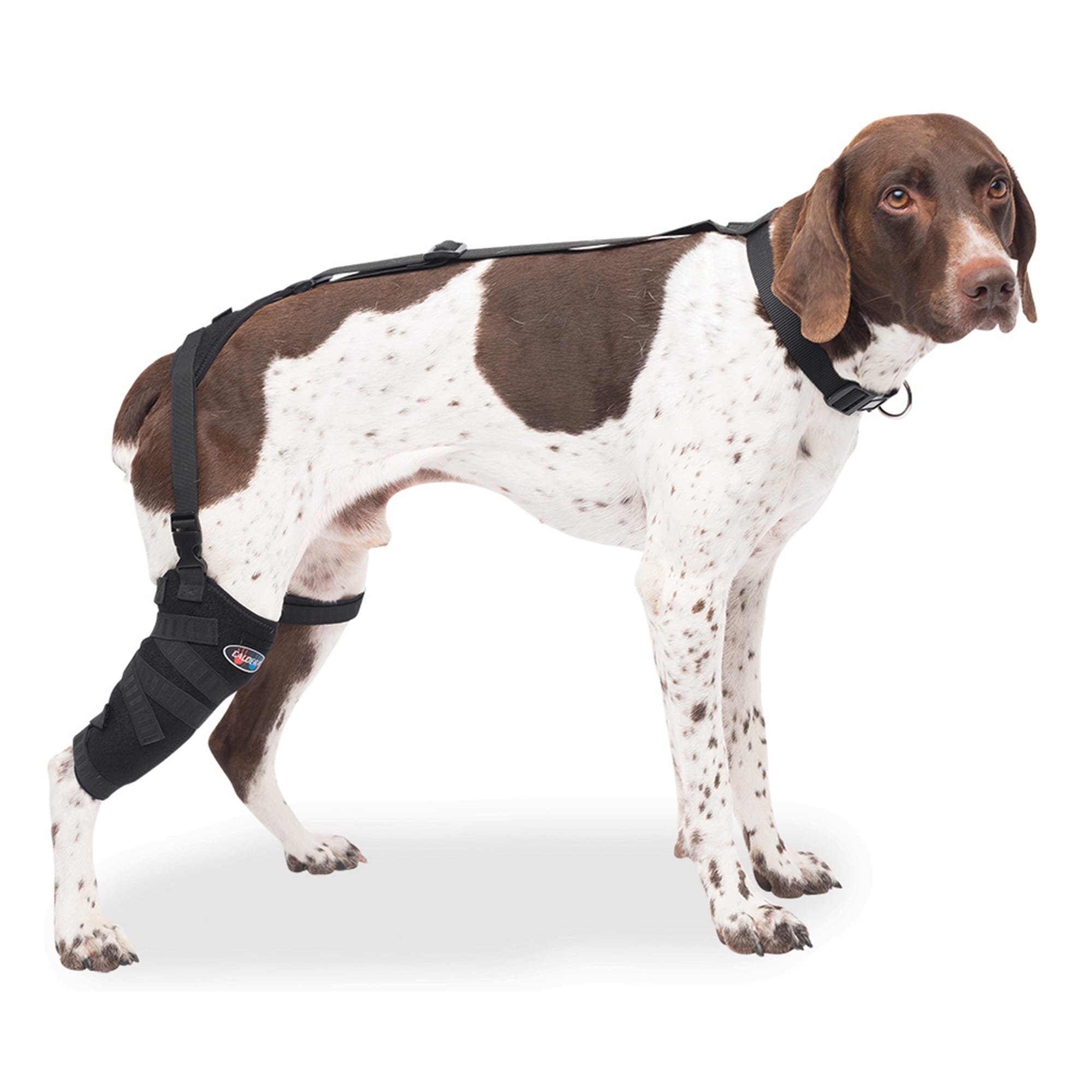 Caldera Hot & Cold Therapy Wrap with Gel for Dog Tall Stifles, Medium, Black