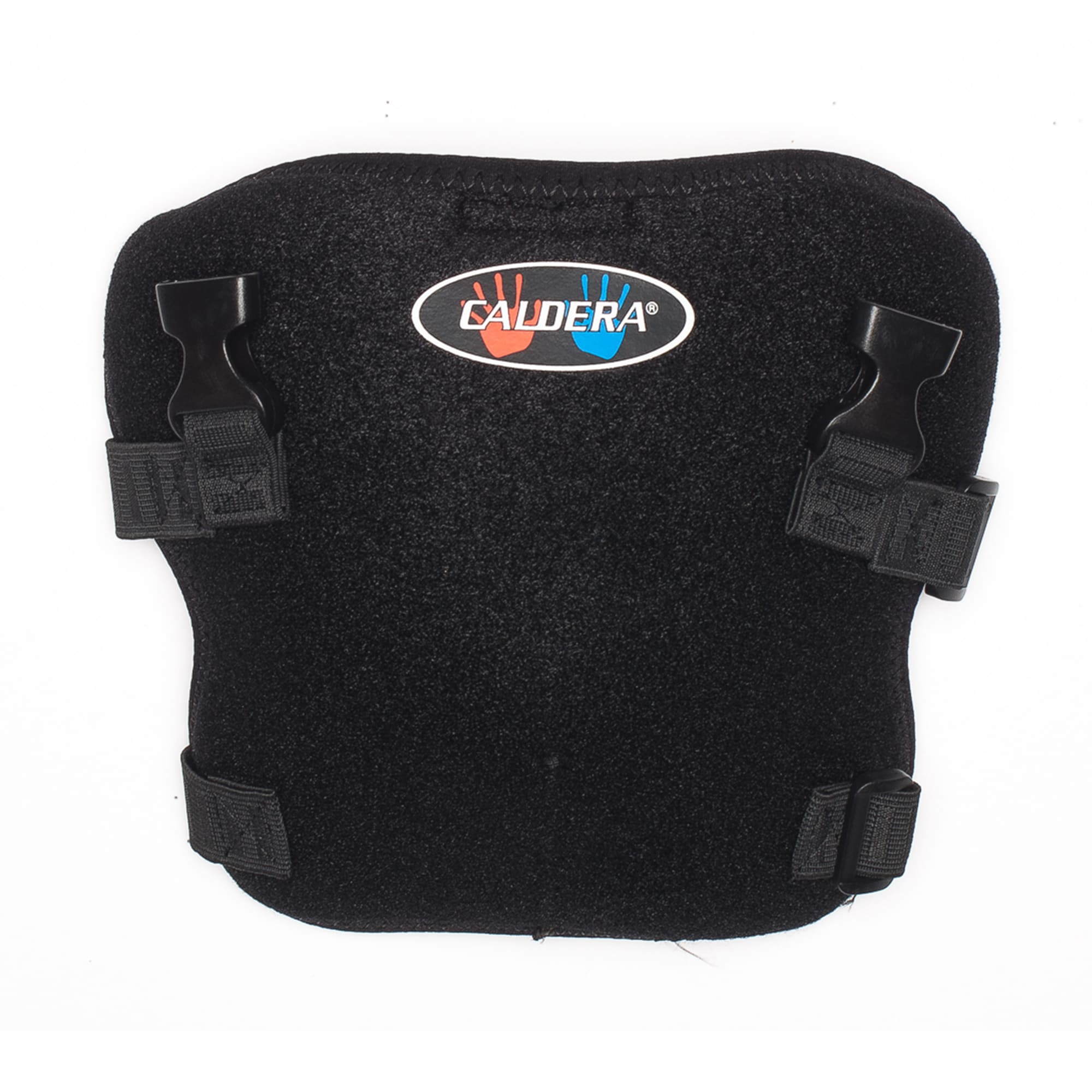 Petco knee brace 2025