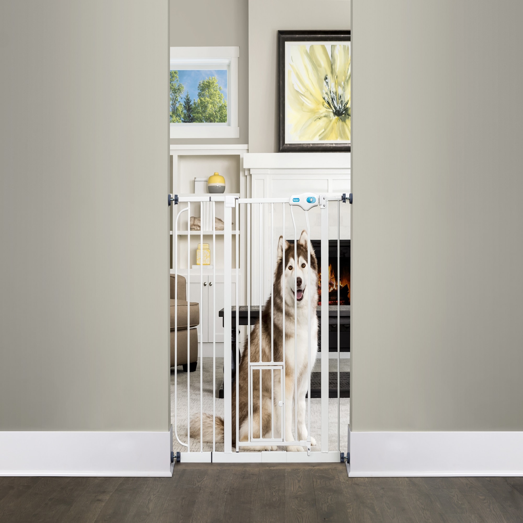 Carlson Pet Products Extra Tall Walk-thru Gate With Smaller Door 36 Tall Extends between 29 -36 Wide