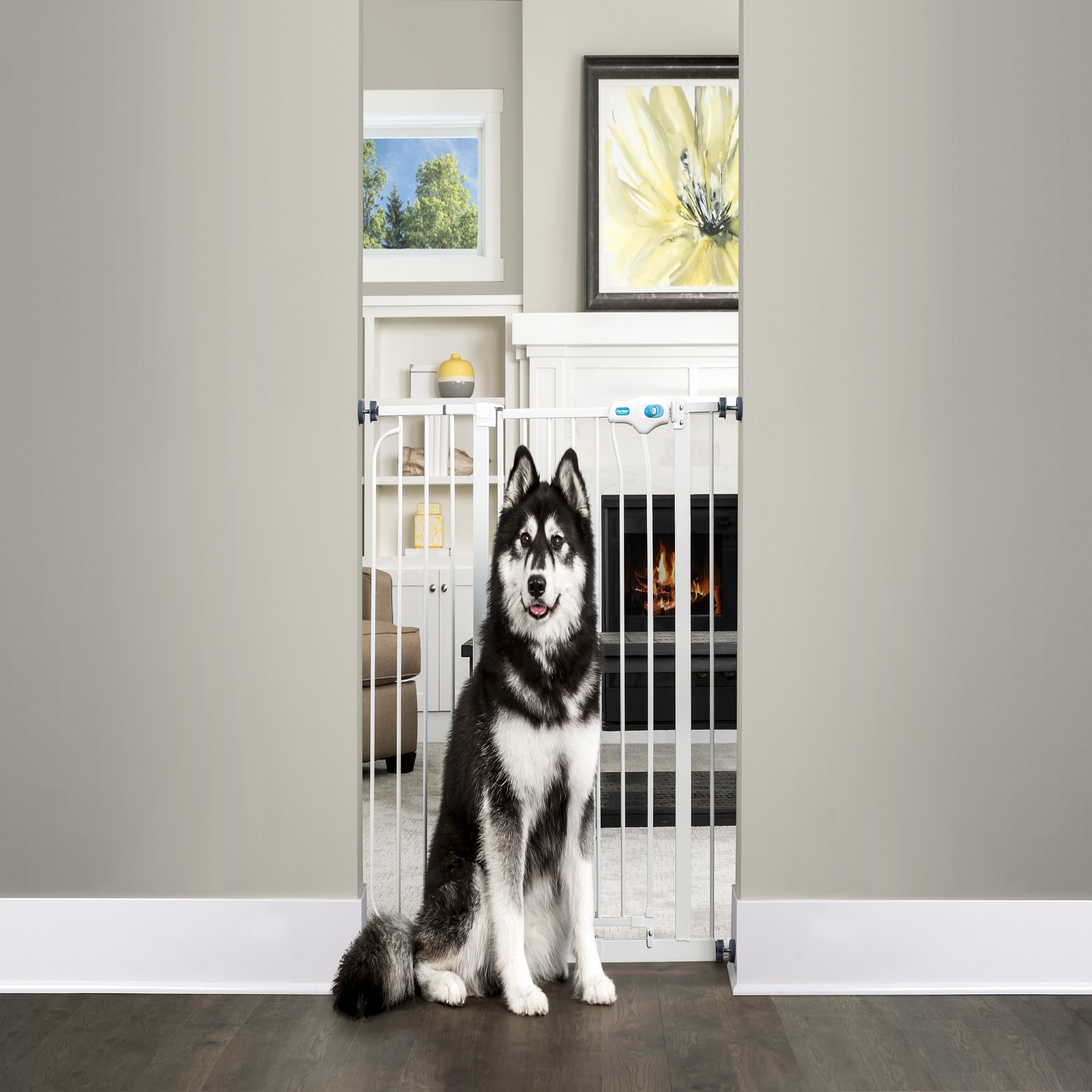 EveryYay In The Zone Extra-Tall Walk-Through Pet Gate, 29-50 W X 41 H