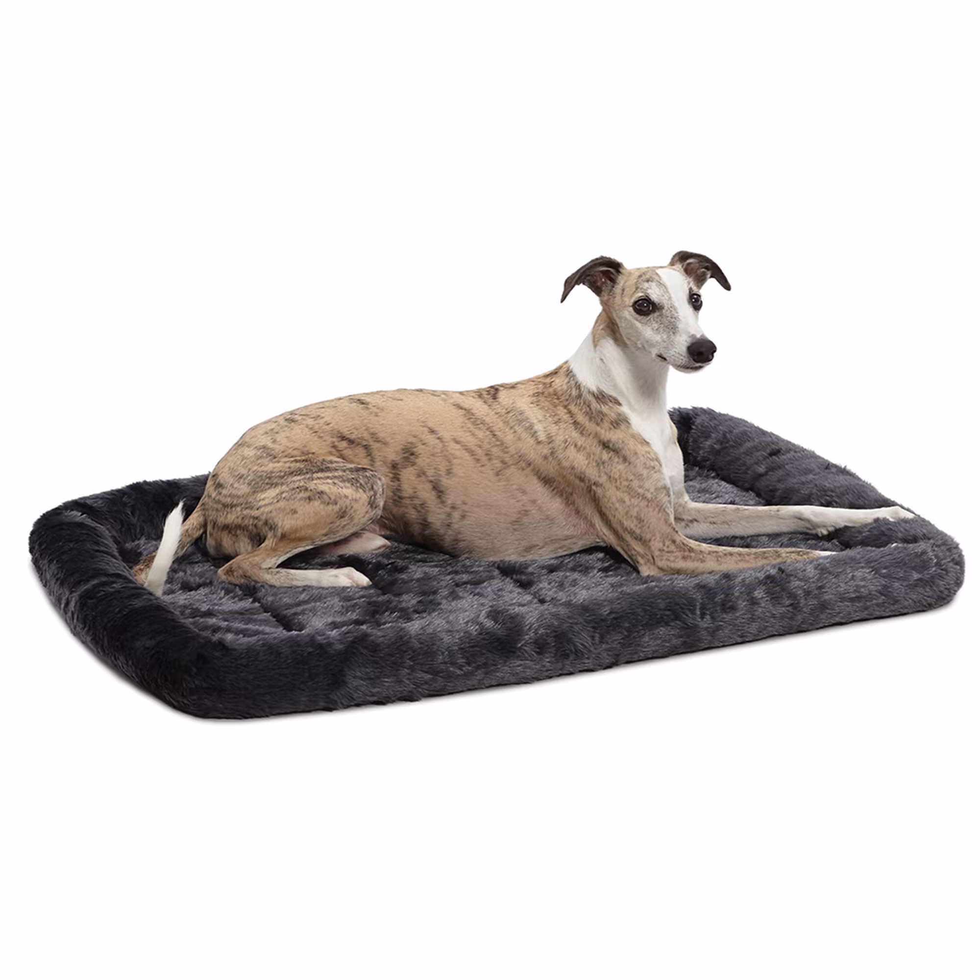 black and decker dog bed