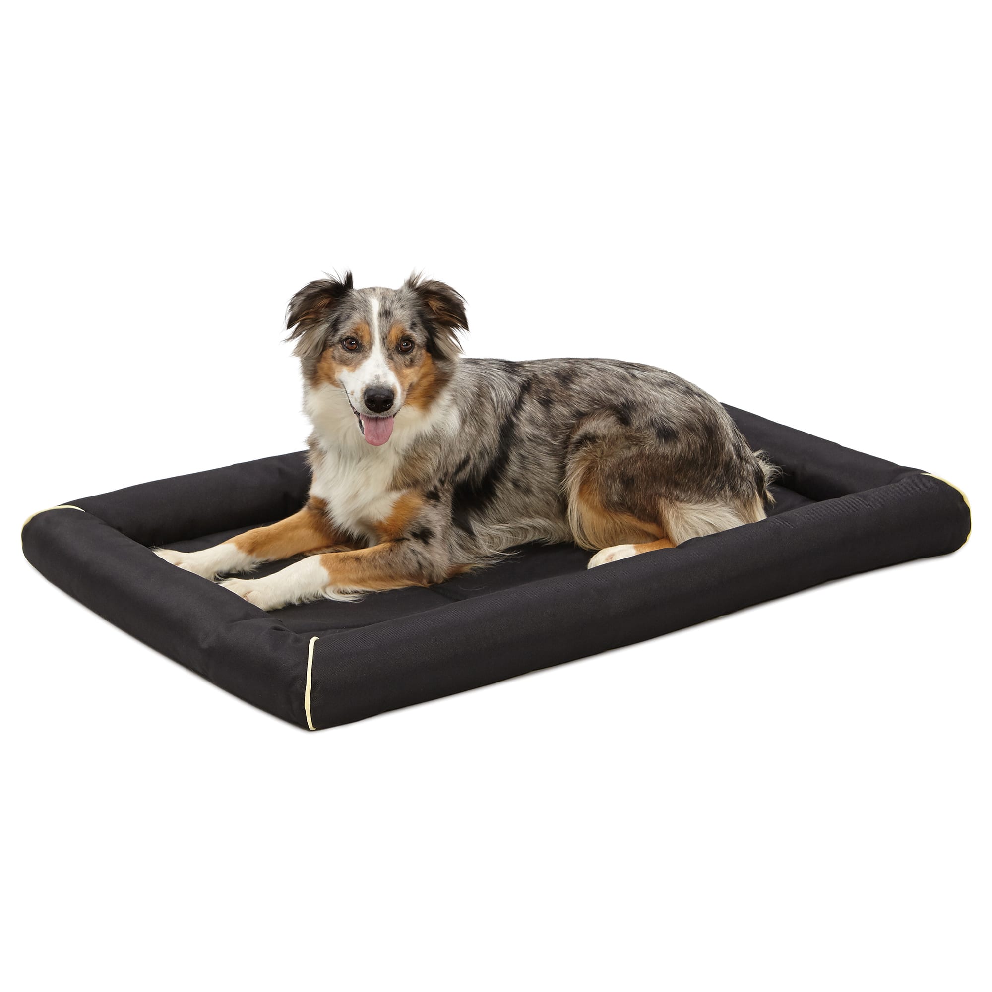 Large black hotsell dog bed