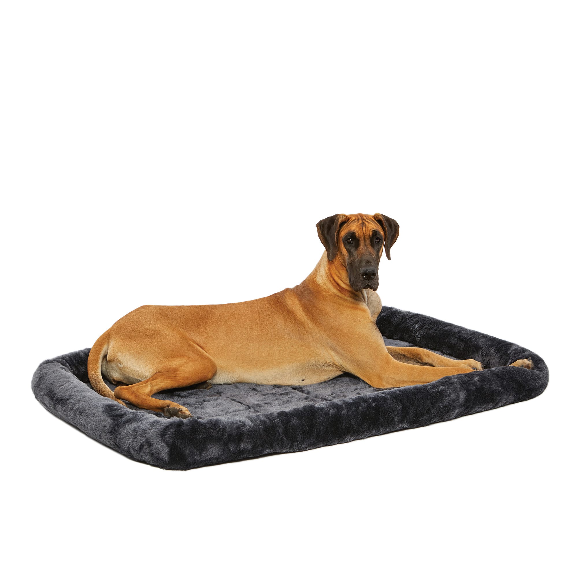 Best dog beds outlet for great danes