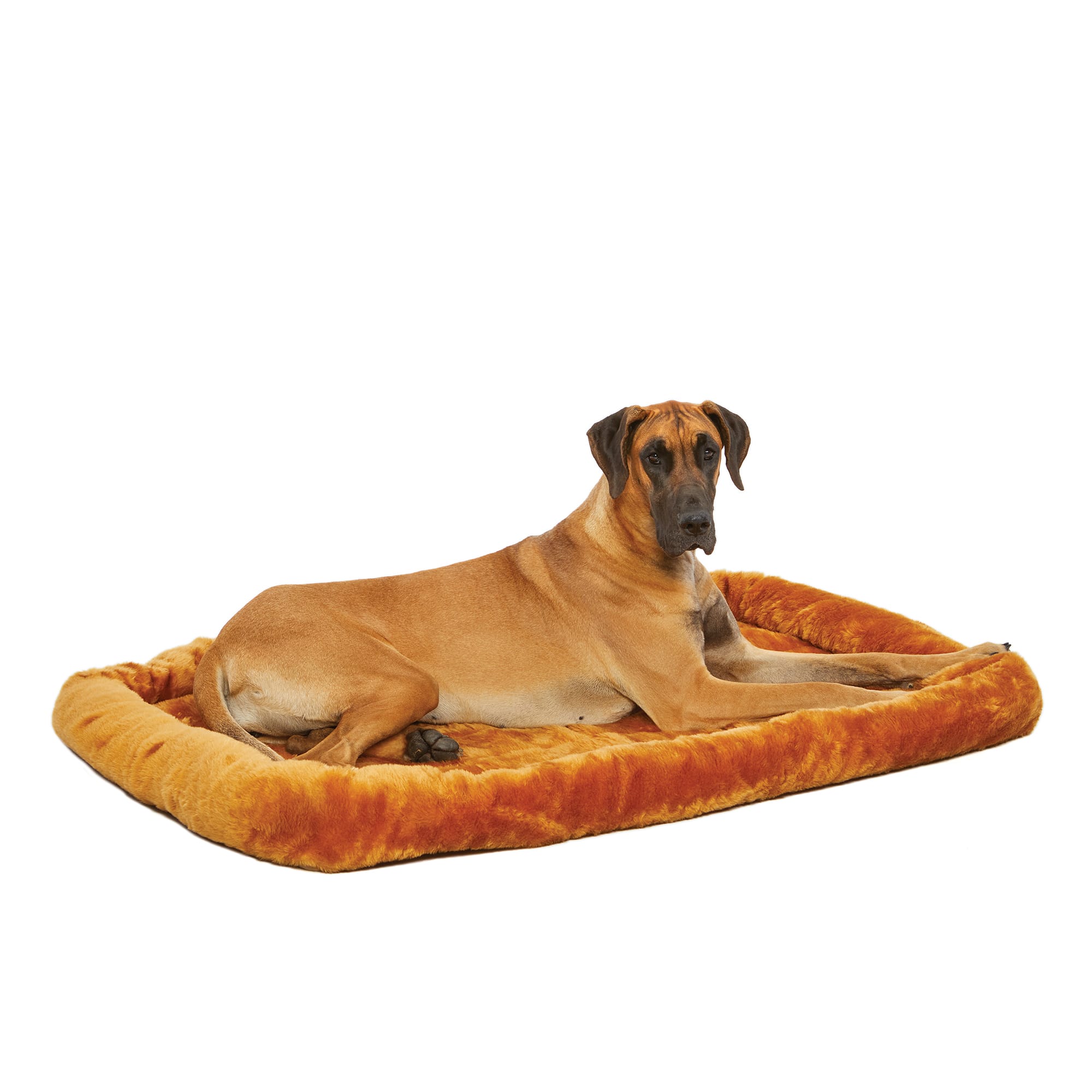 Peaceful nester dog bed hotsell