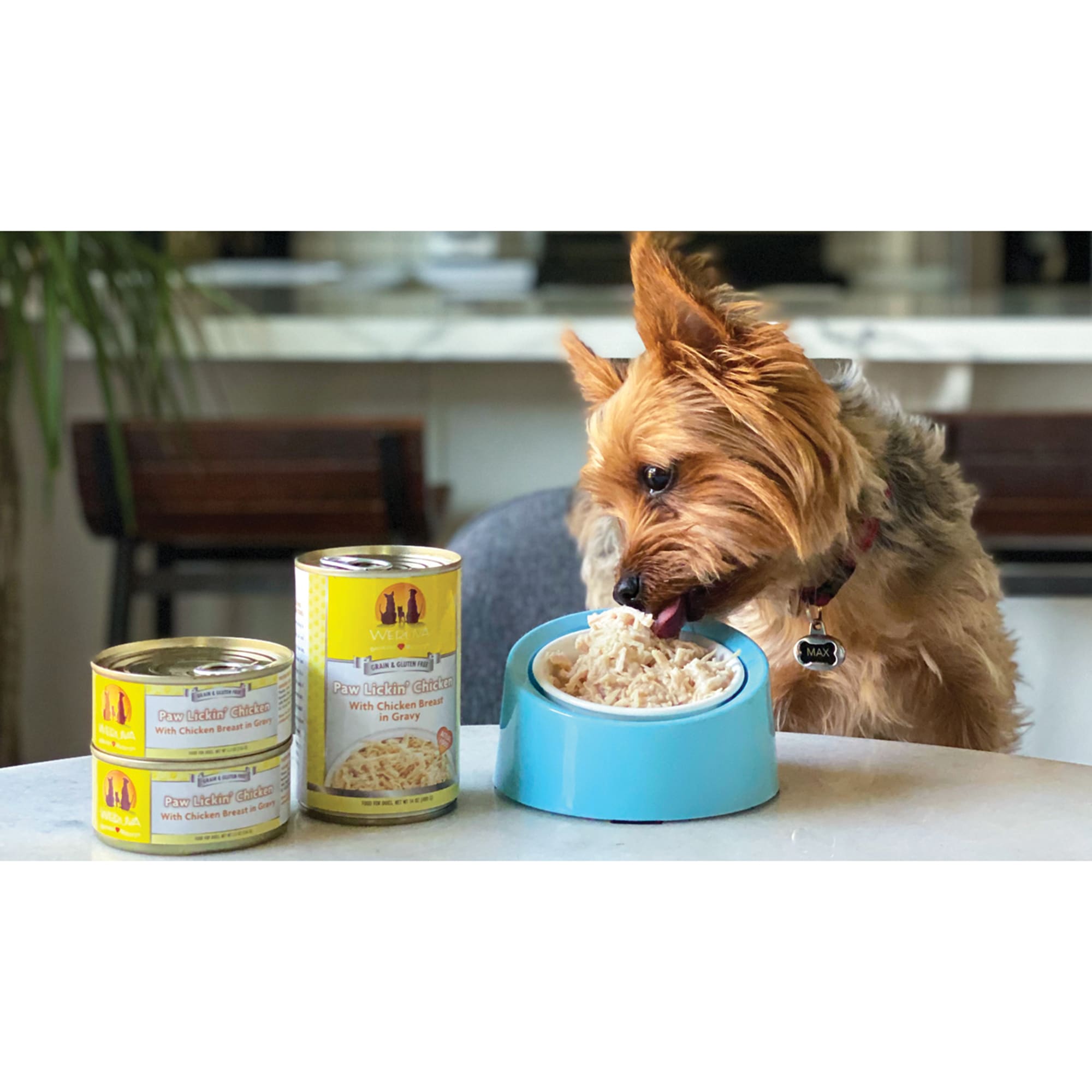 Paw lickin chicken dog food best sale