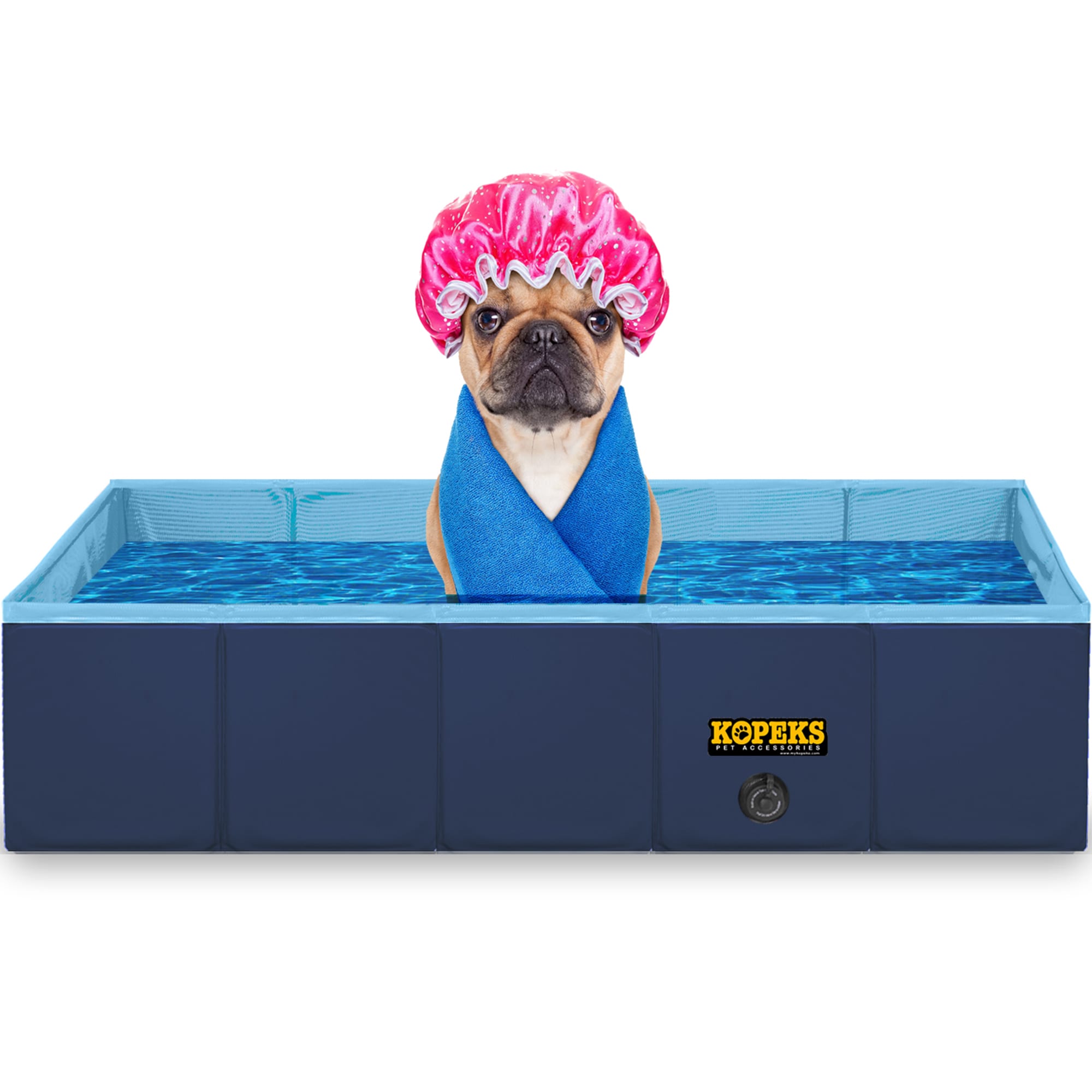 Outdoor dog swimming store pool