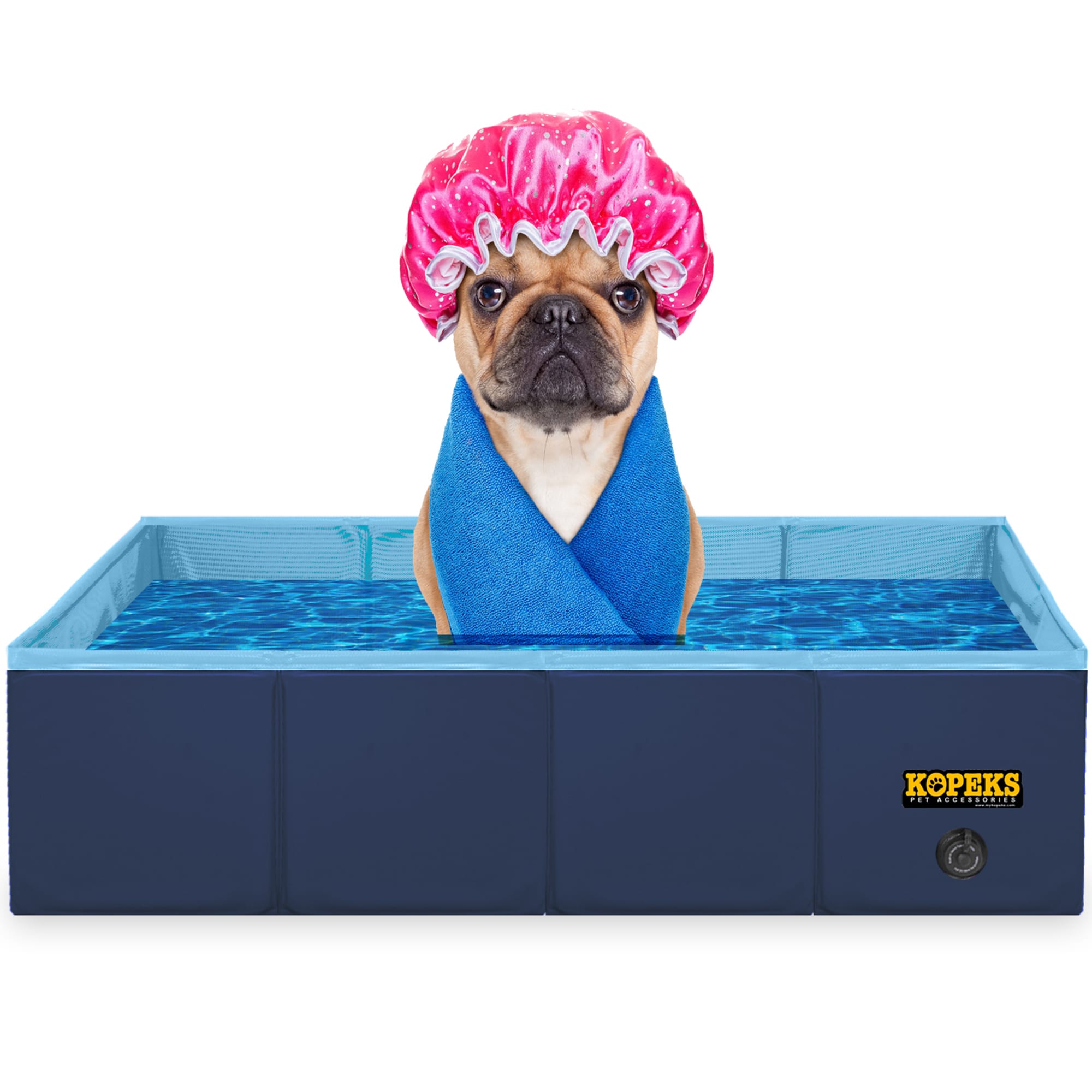 dog swimming gear