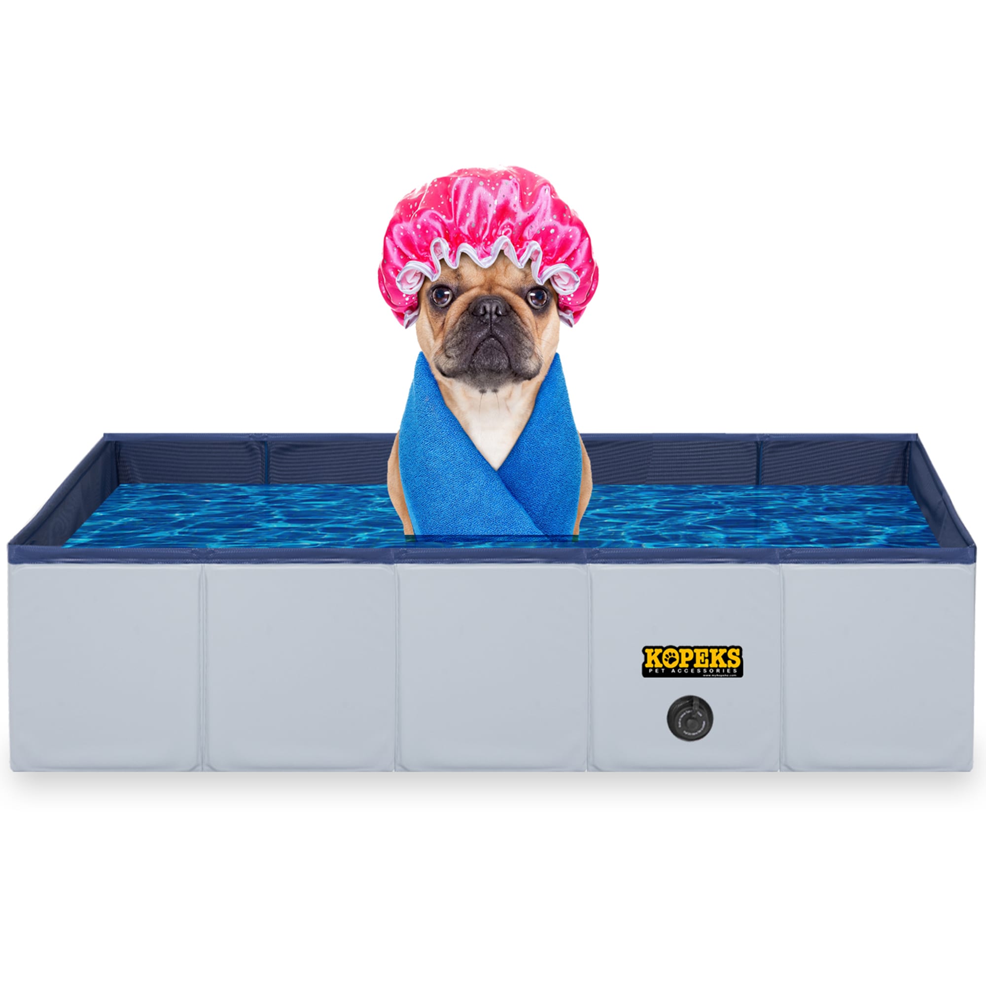 dog swimming gear