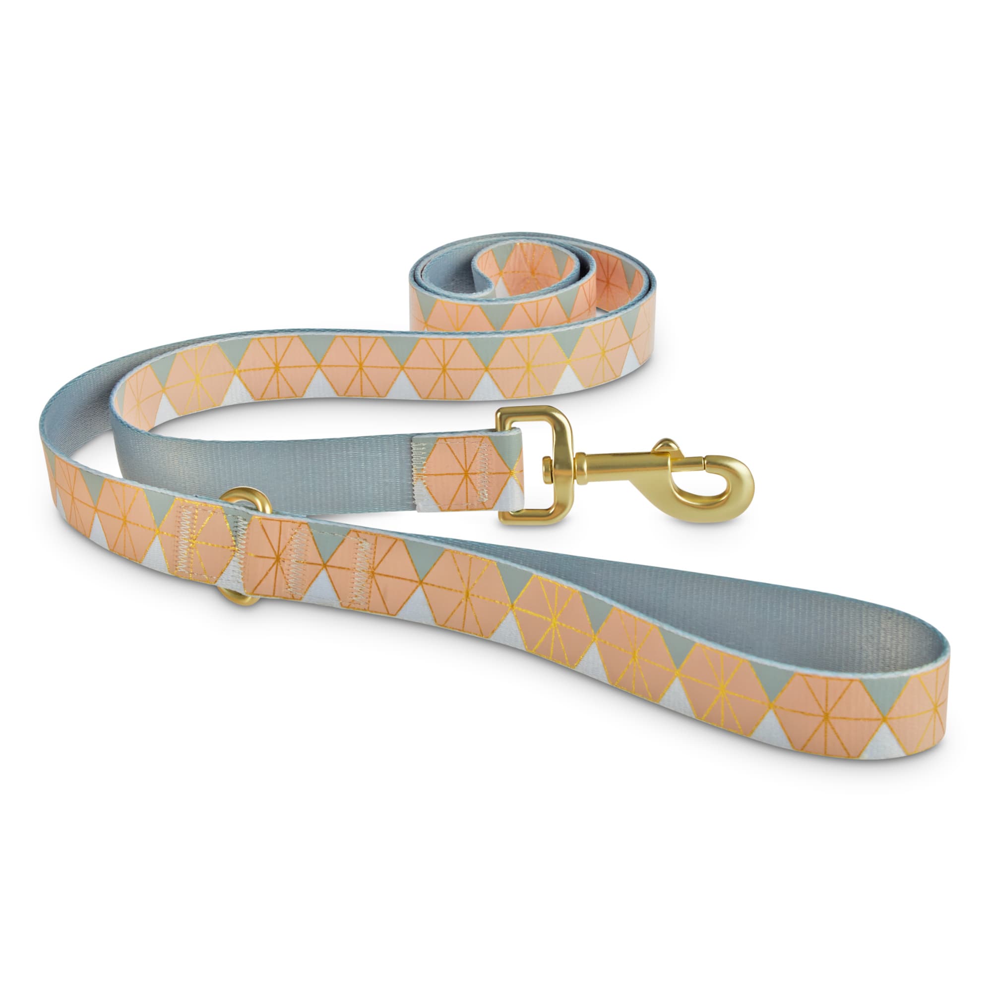 long dog leash petco