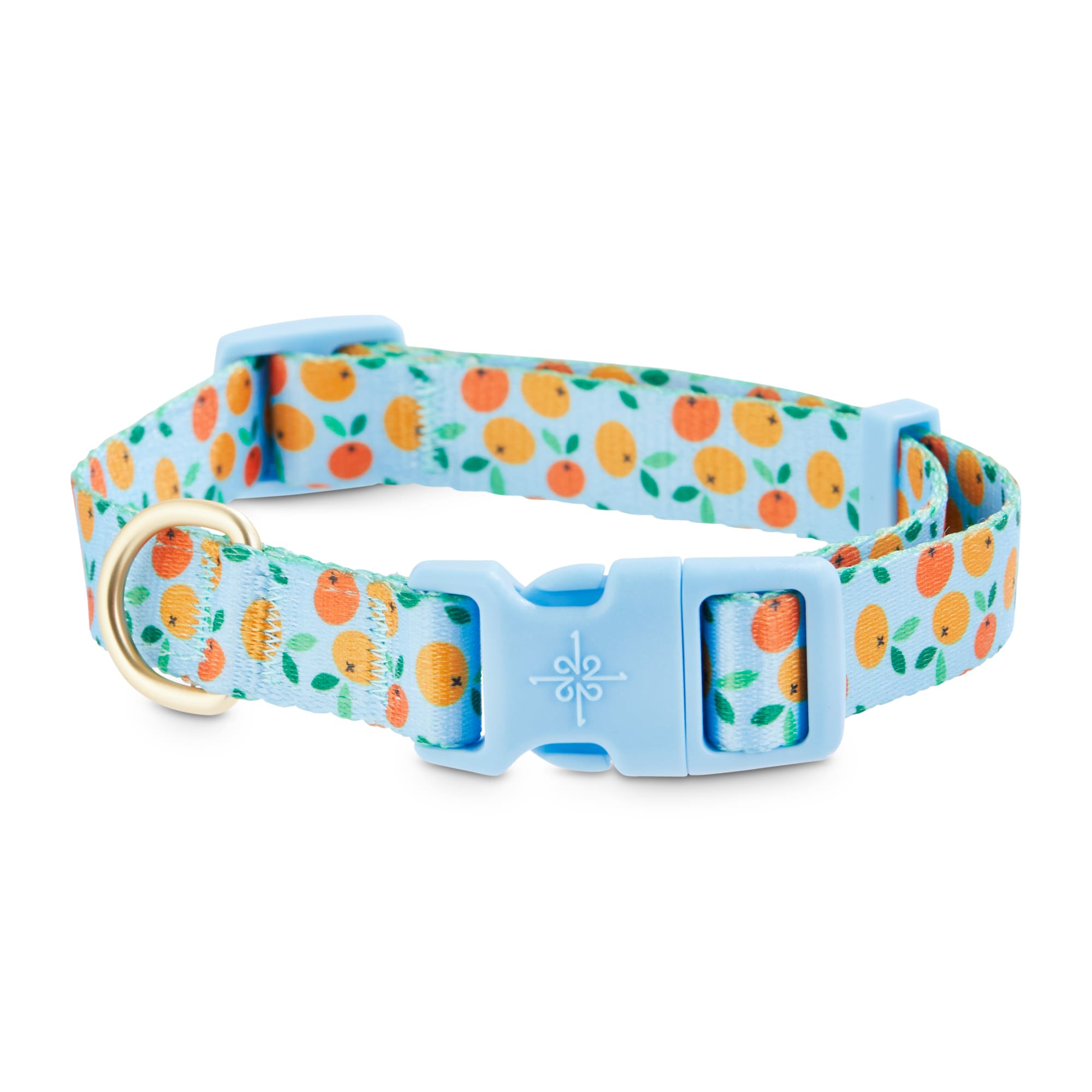 Good2Go Fashion Print Dog Collar, Oranges, Medium Petco