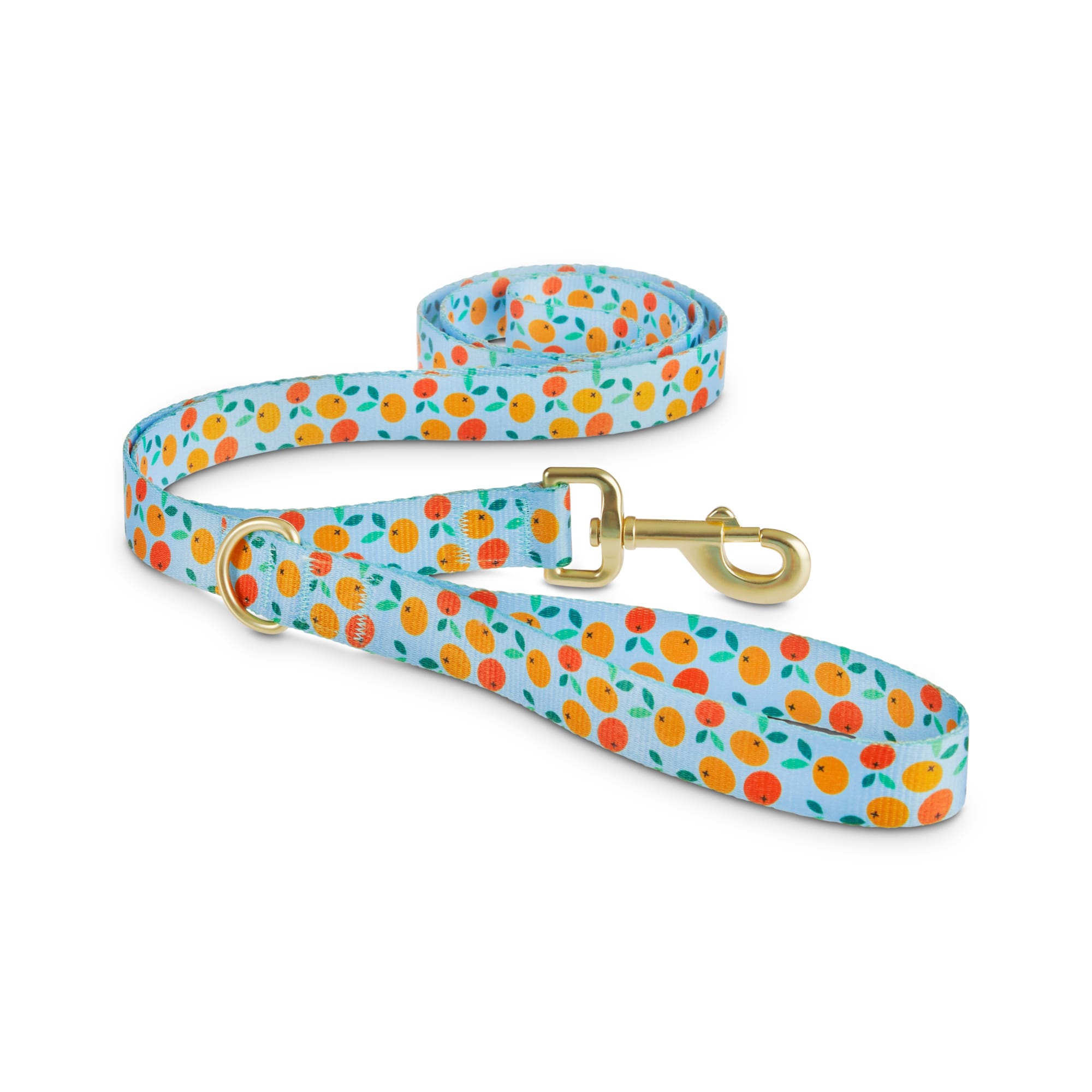 orange dog collar and leash