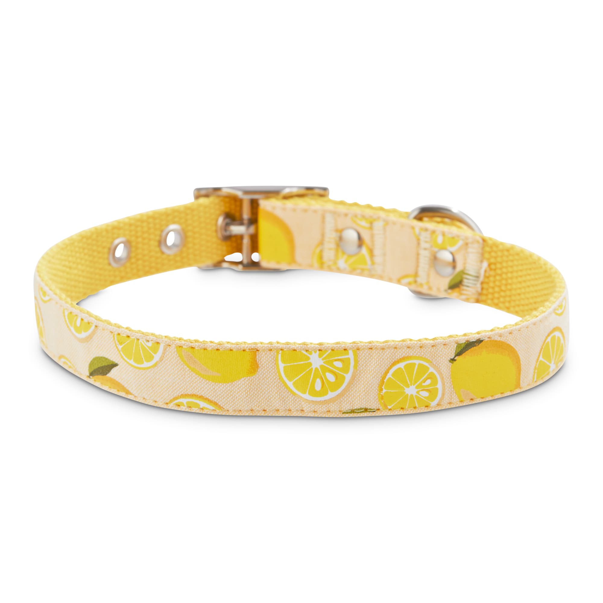Lemon Print Dog Collar