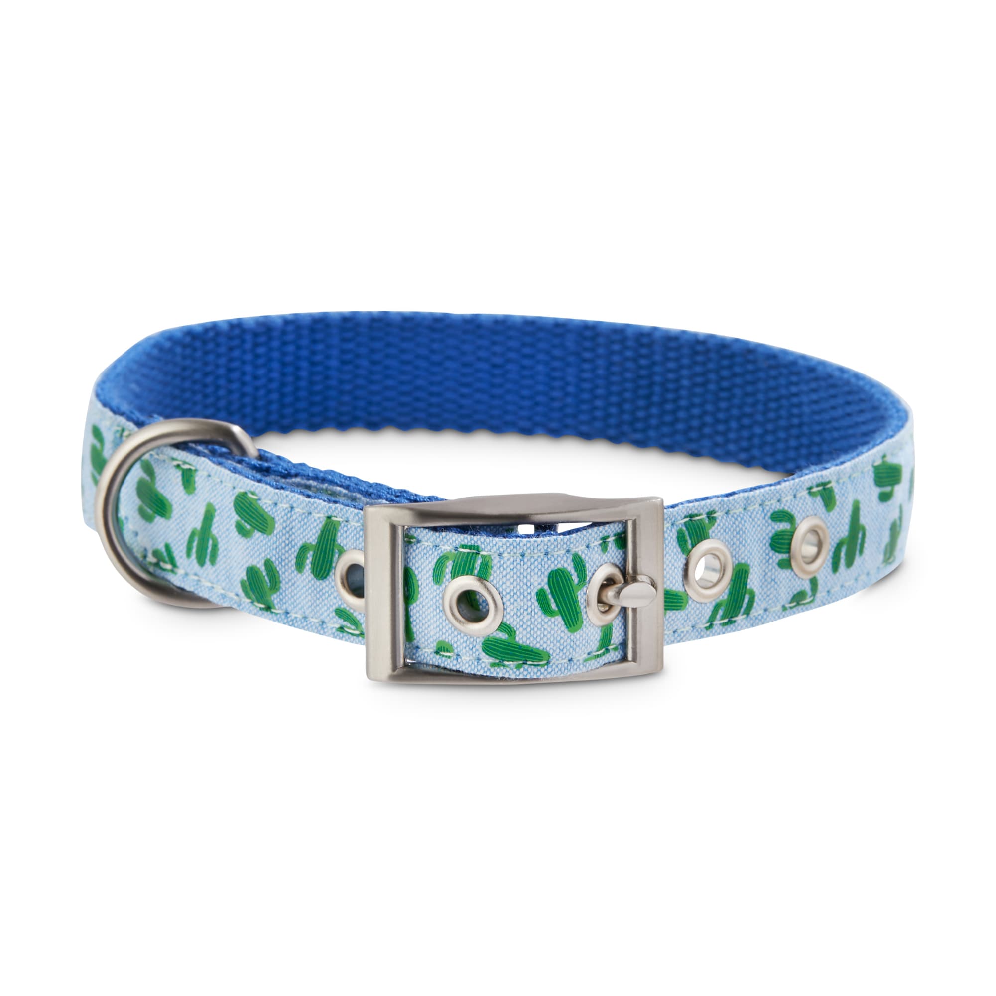 Cactus dog sale collar