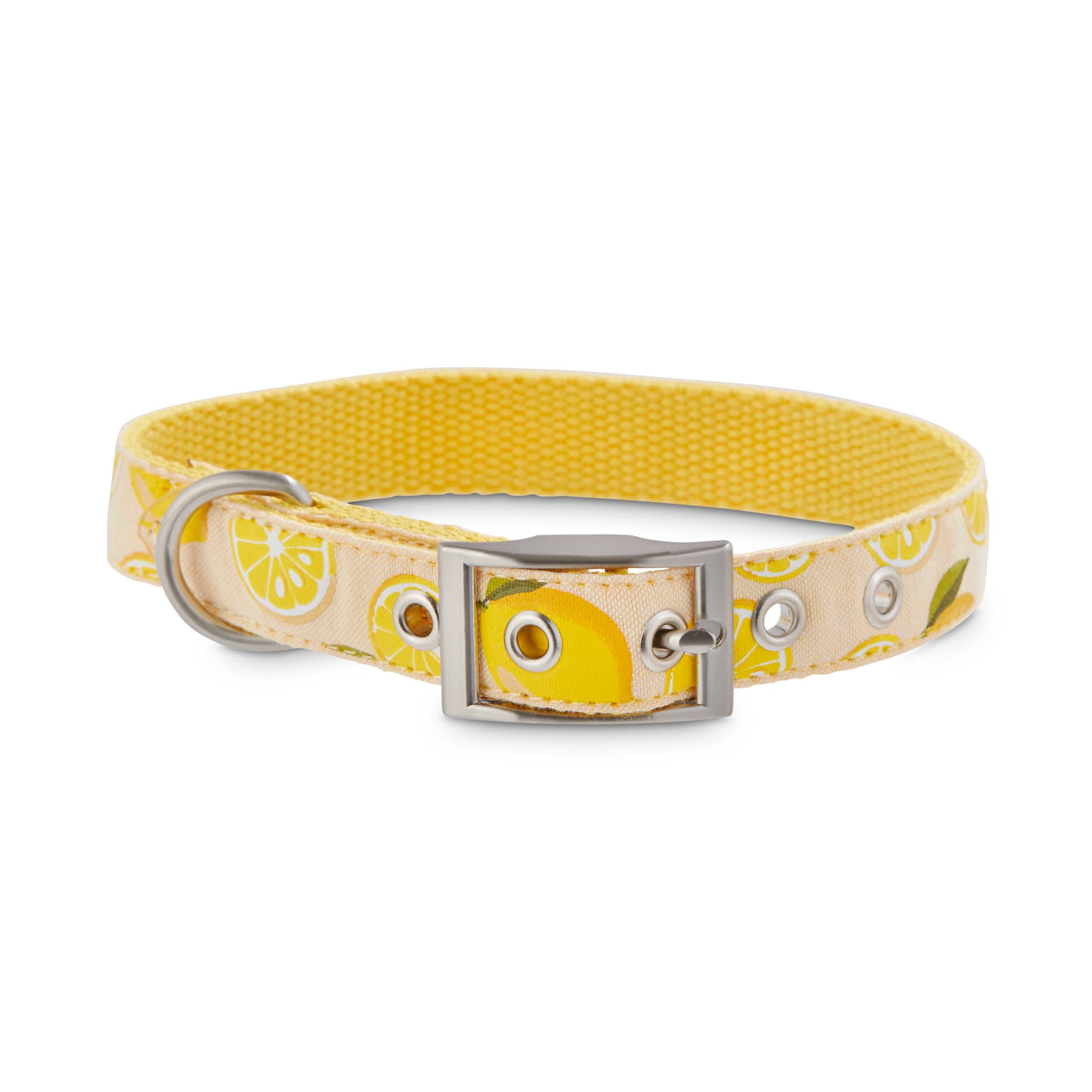 bond & co dog collars