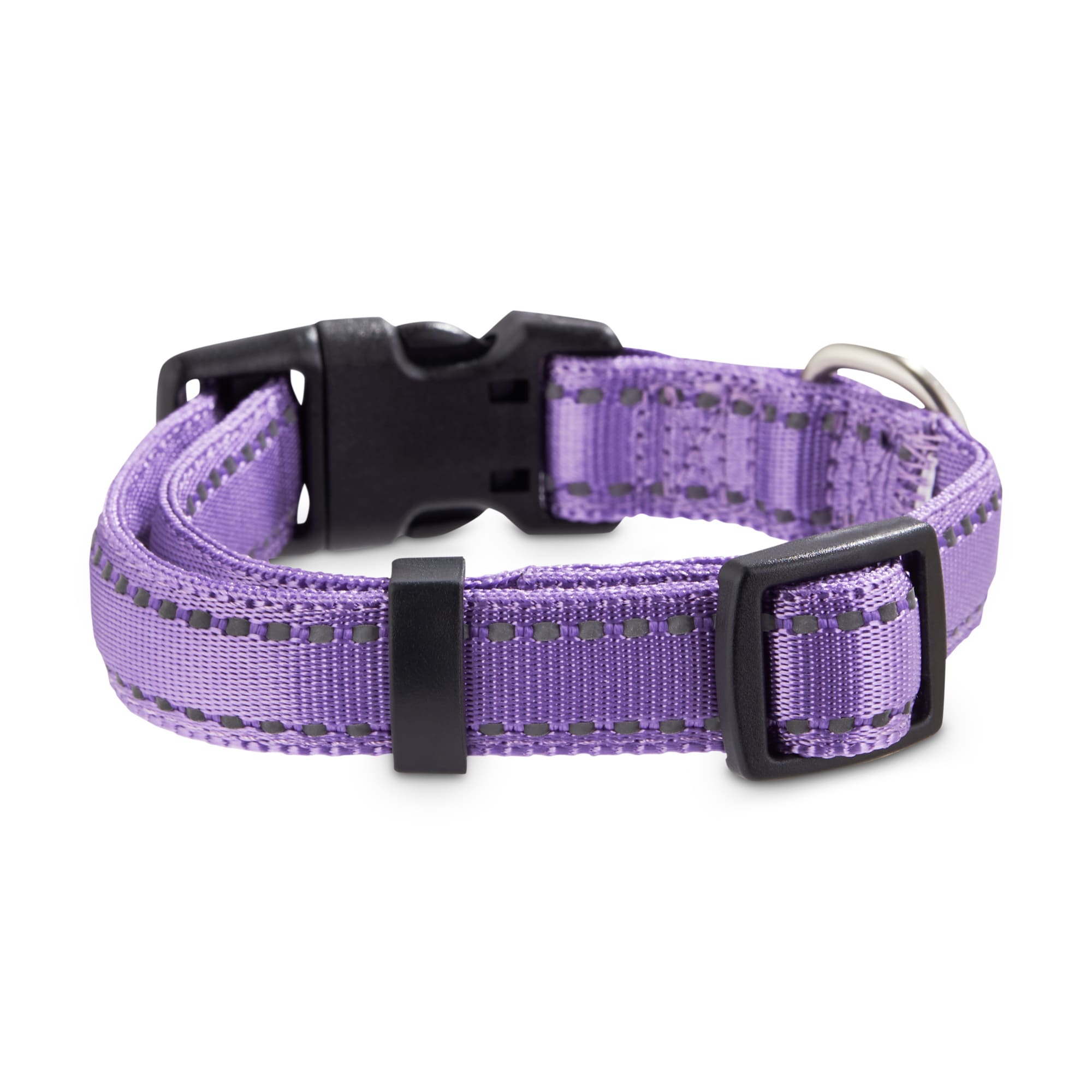 purple led dog collar