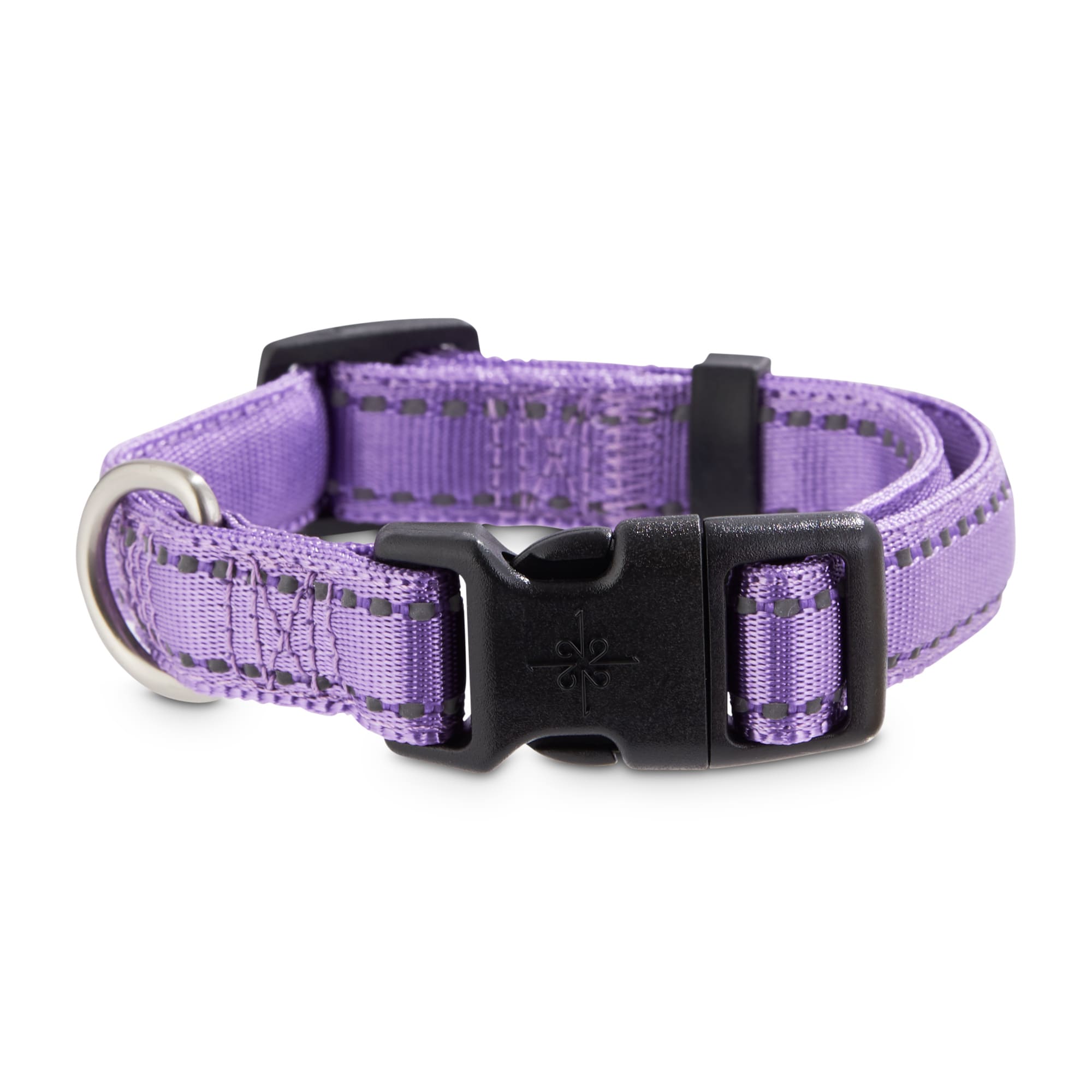 purple led dog collar