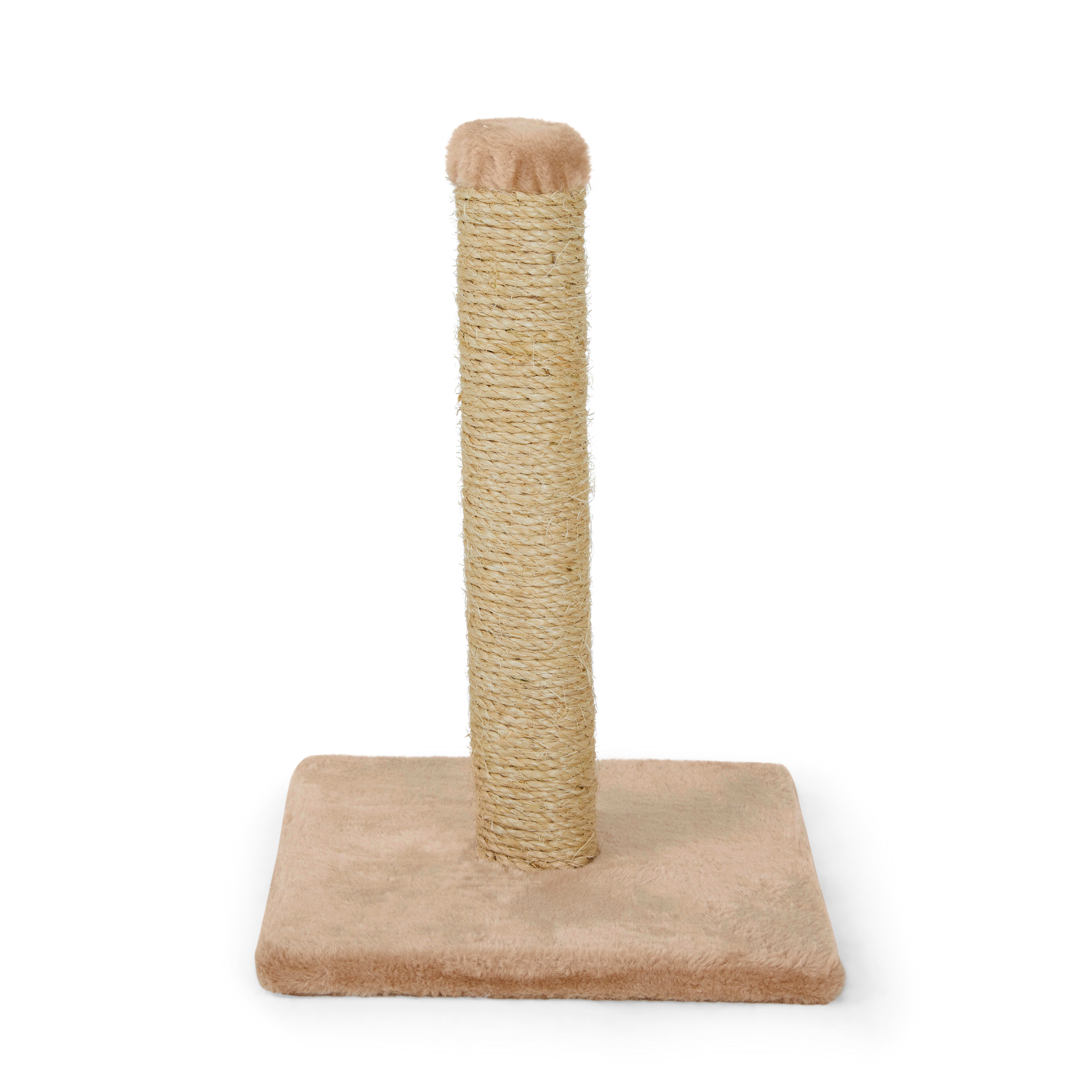 scratching post near me