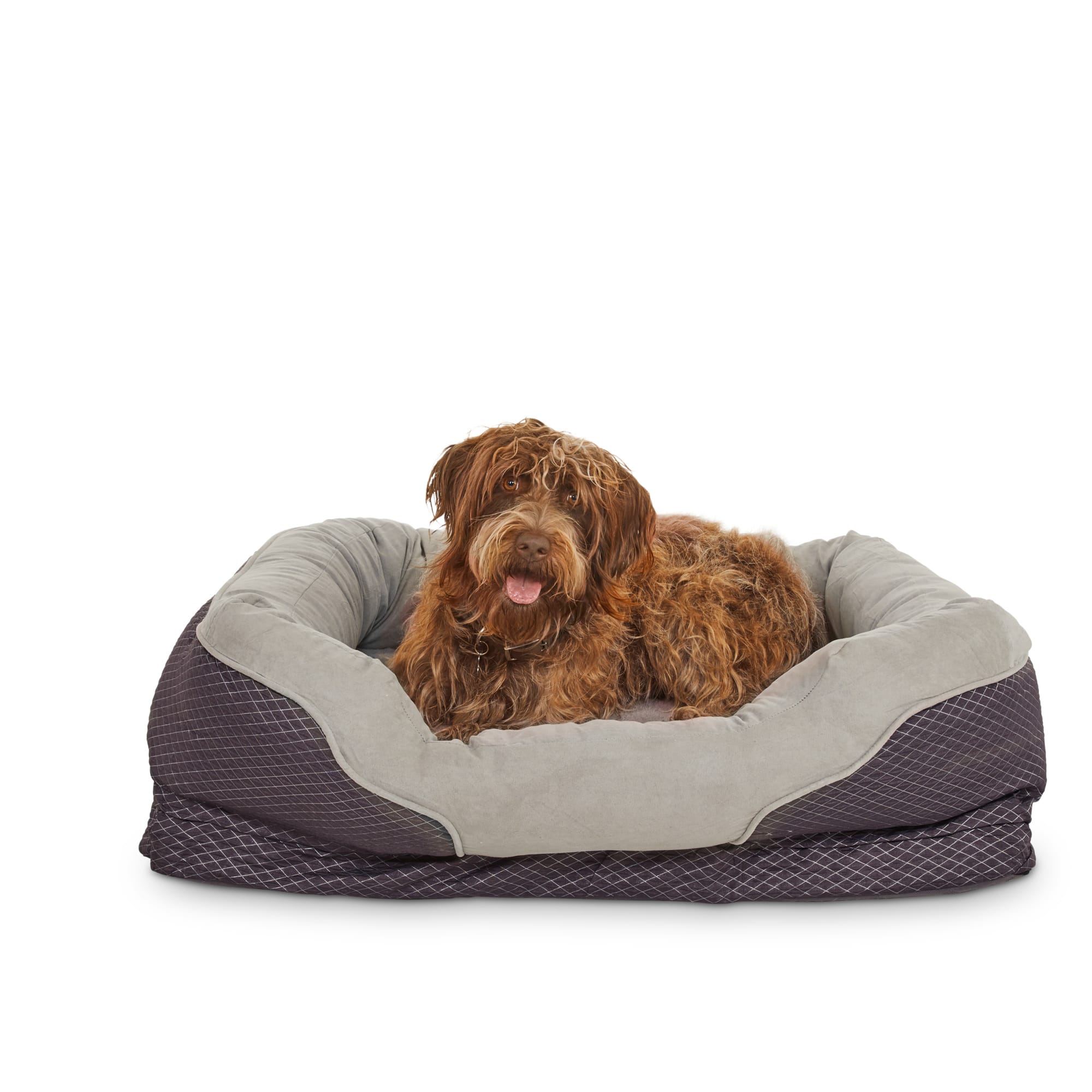 Large gray best sale dog bed