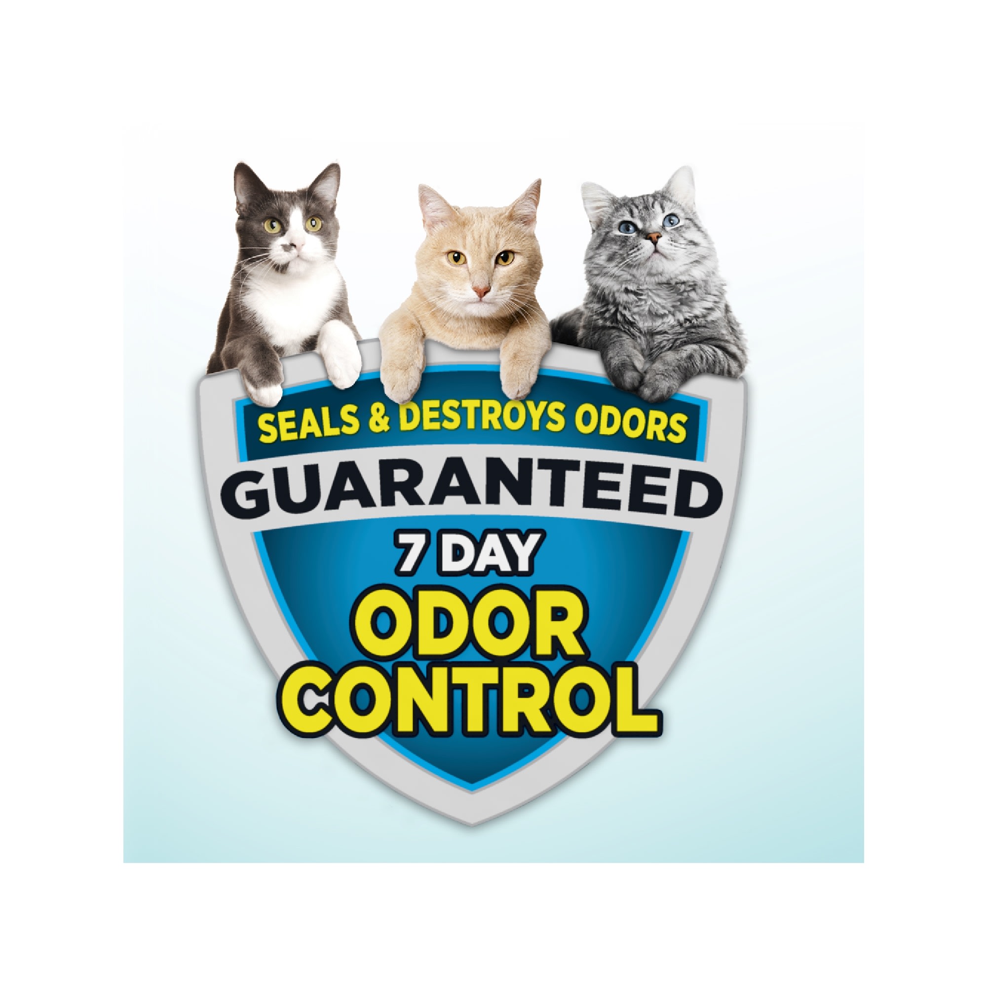 Arm Hammer Clump Seal Cloud Control Multi Cat Clumping Litter 28 lbs