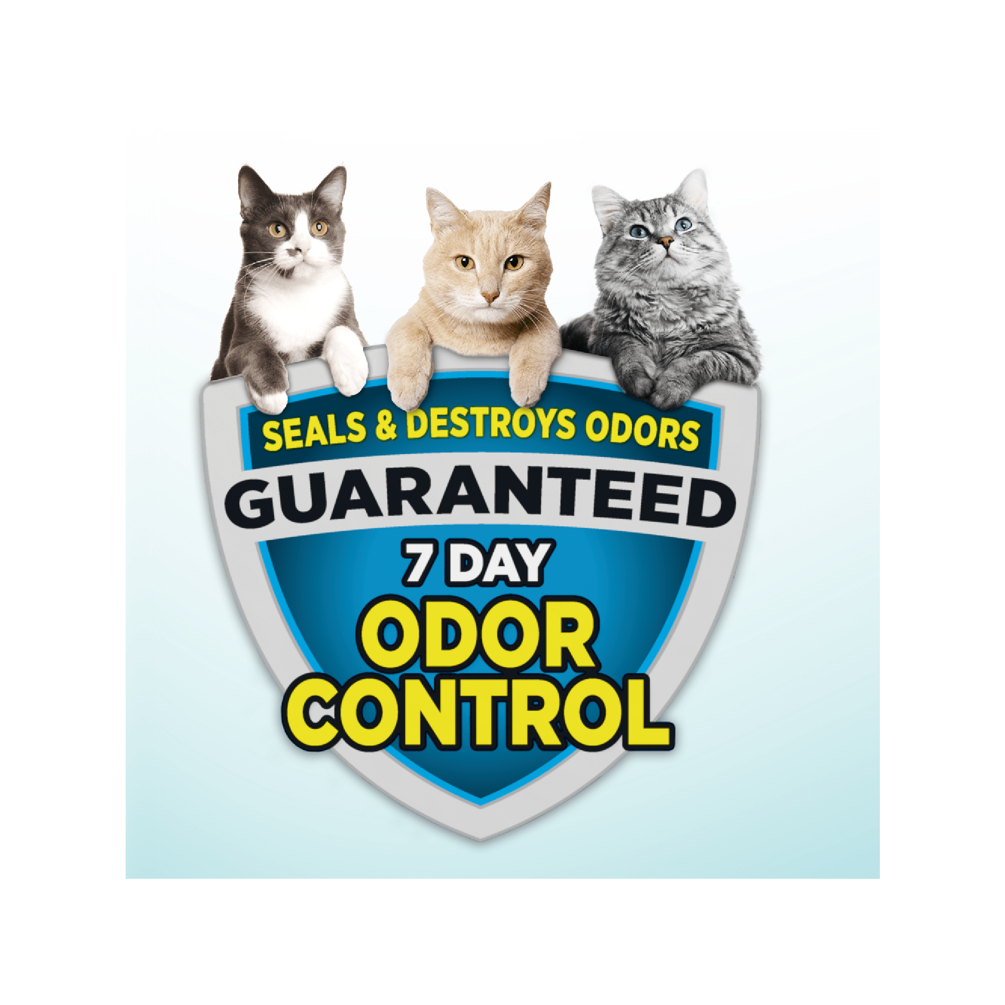 Arm Hammer Cloud Control Multi Cat Clumping Litter 28 lbs