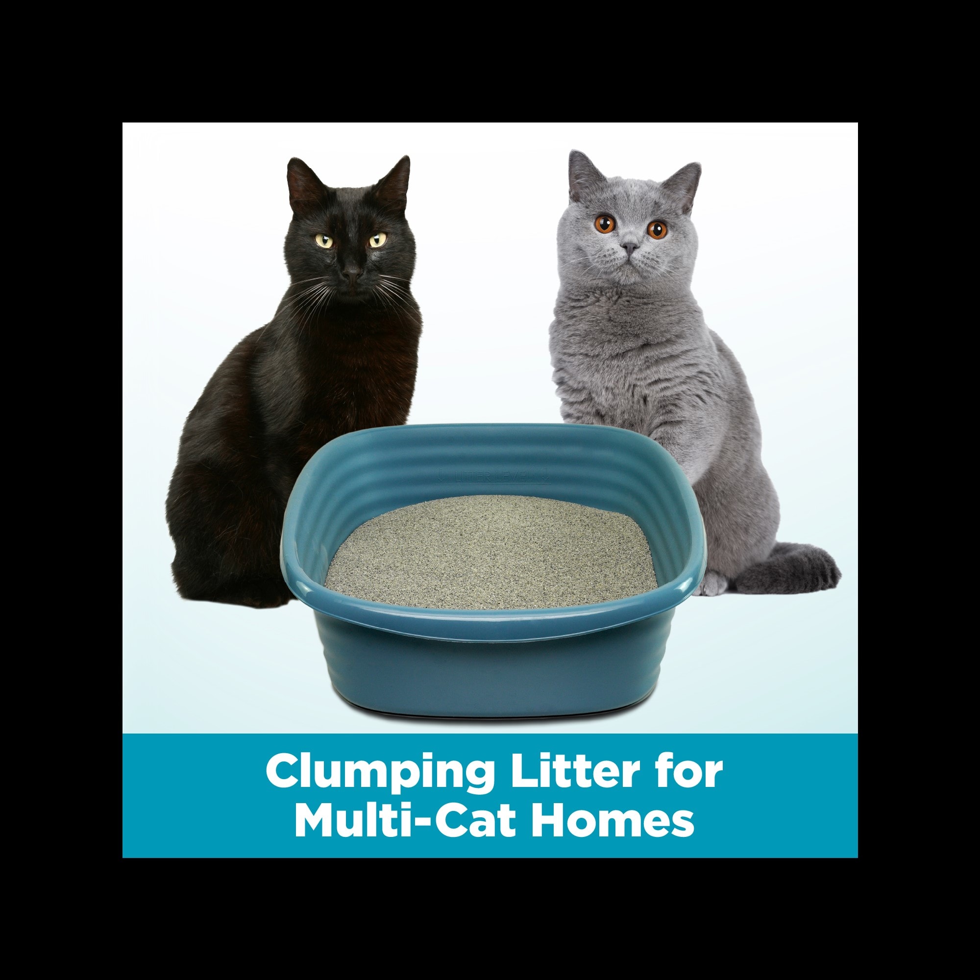Arm Hammer Clump Seal Cloud Control Multi Cat Clumping Litter 28 lbs
