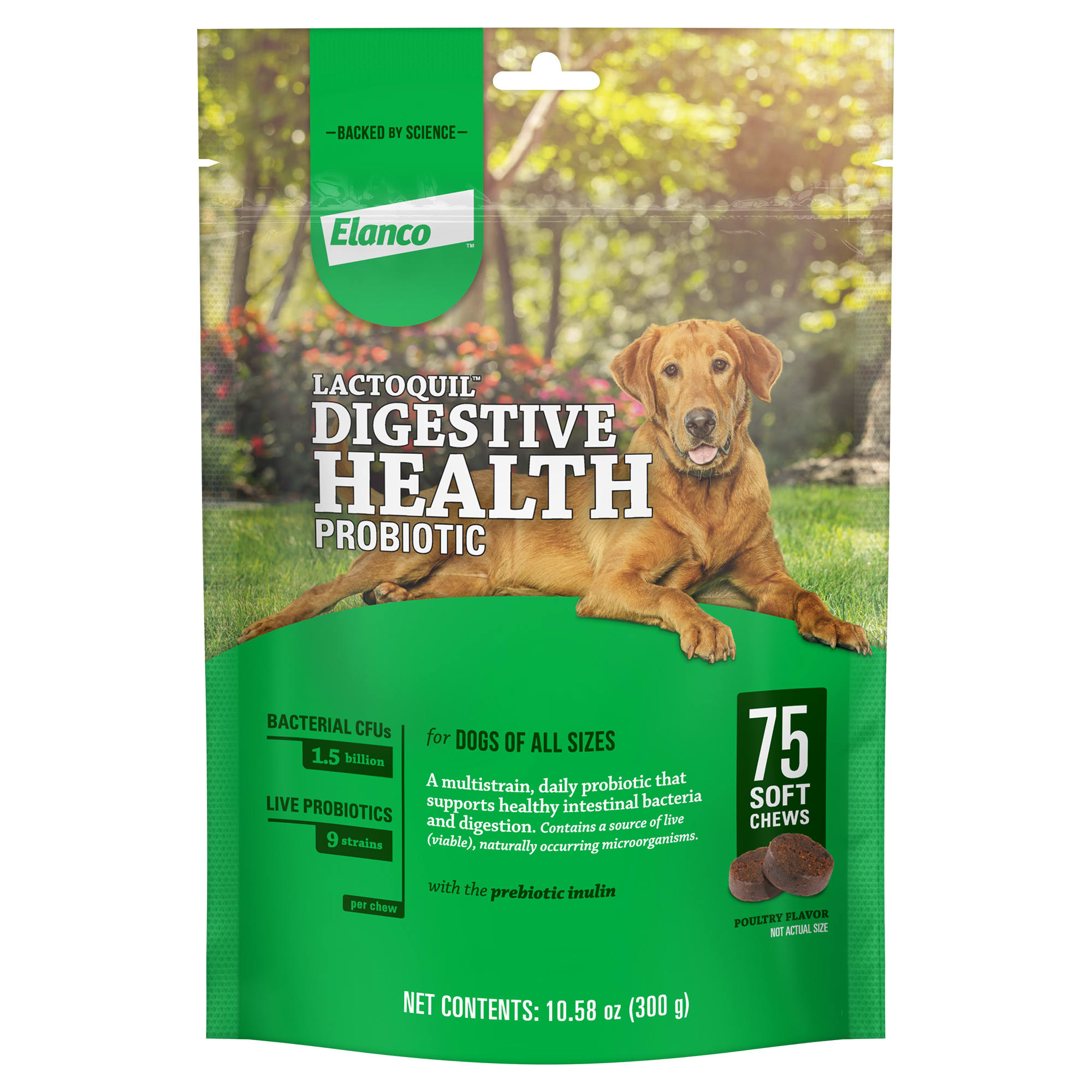 Probiotic digestive balance for hot sale dogs