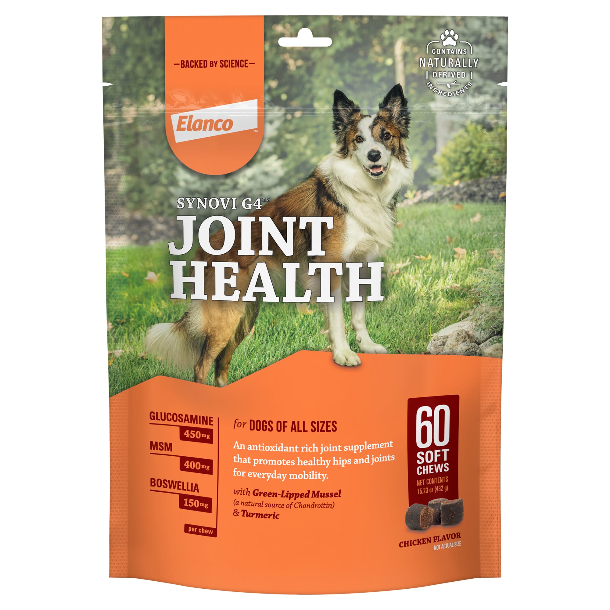 Vitamins for best sale joints for dogs